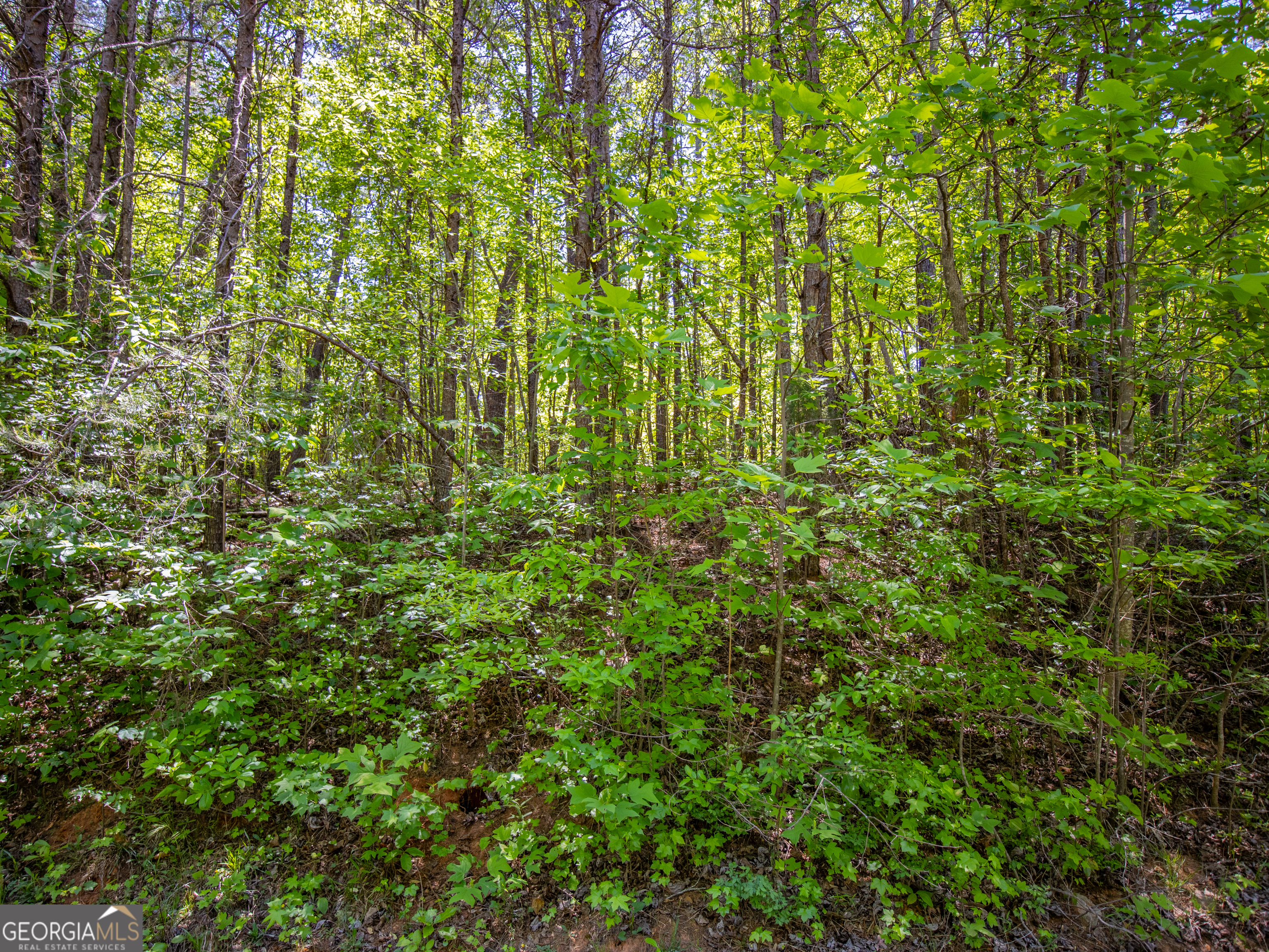1.01 Acre Oak Drive Property Photo 14