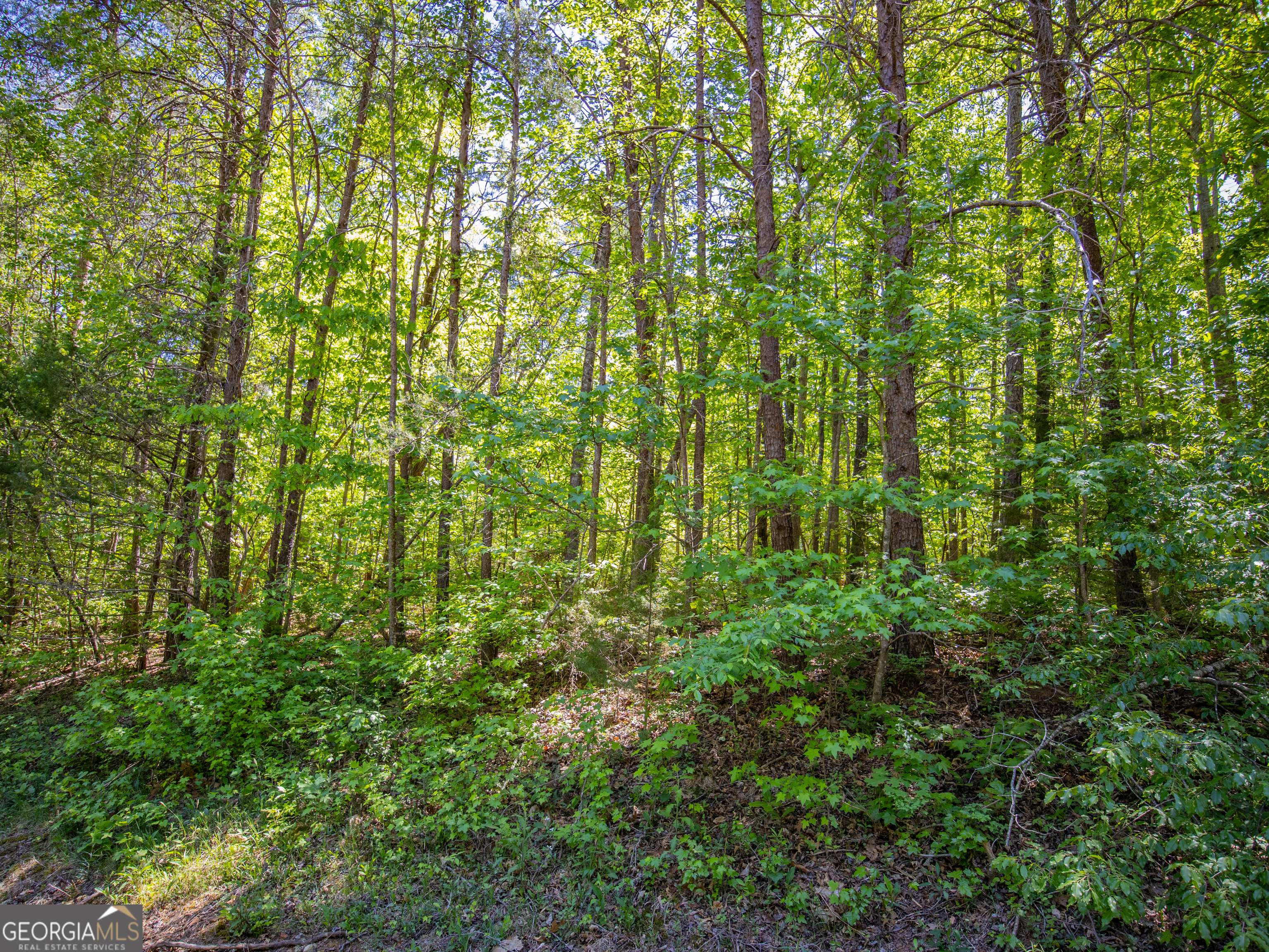 1.01 Acre Oak Drive Property Photo 15