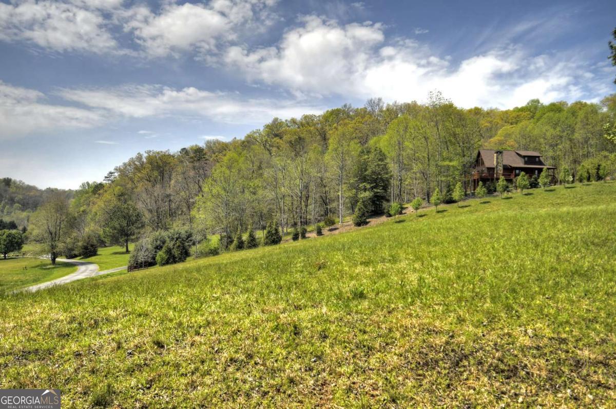 256 Bailey Farm Lane Property Photo 43