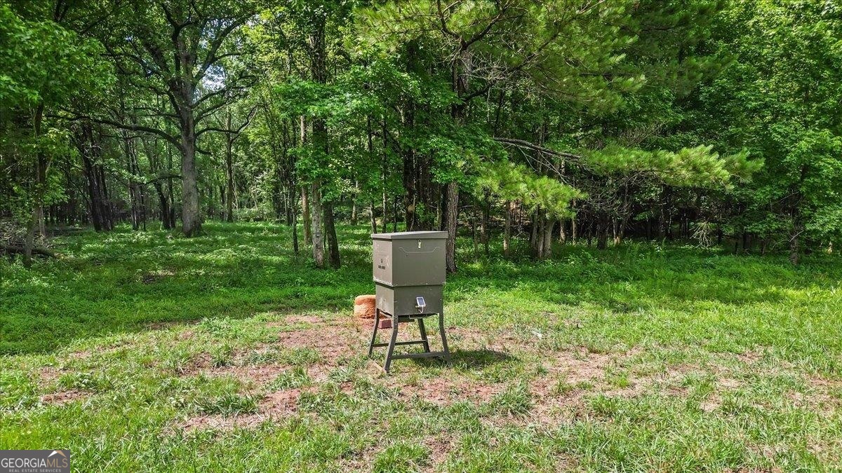 0 Gage Lane Property Photo 6