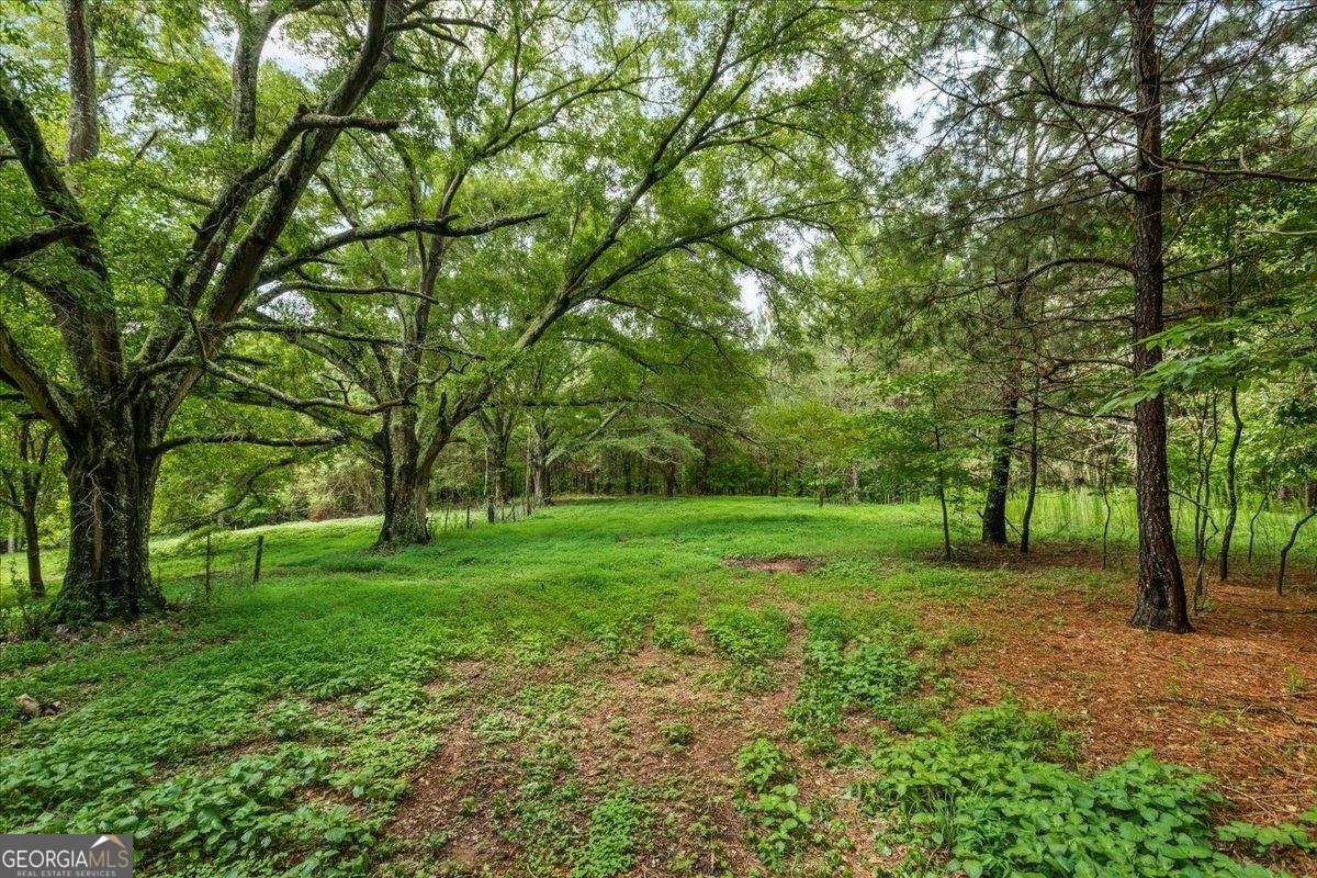 0 Gage Lane Property Photo 12