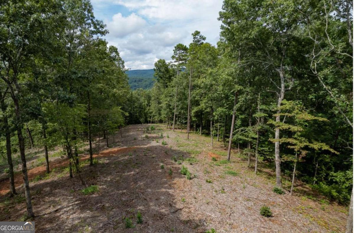 LOT 315 Pebble Trace # 315 Property Photo 1