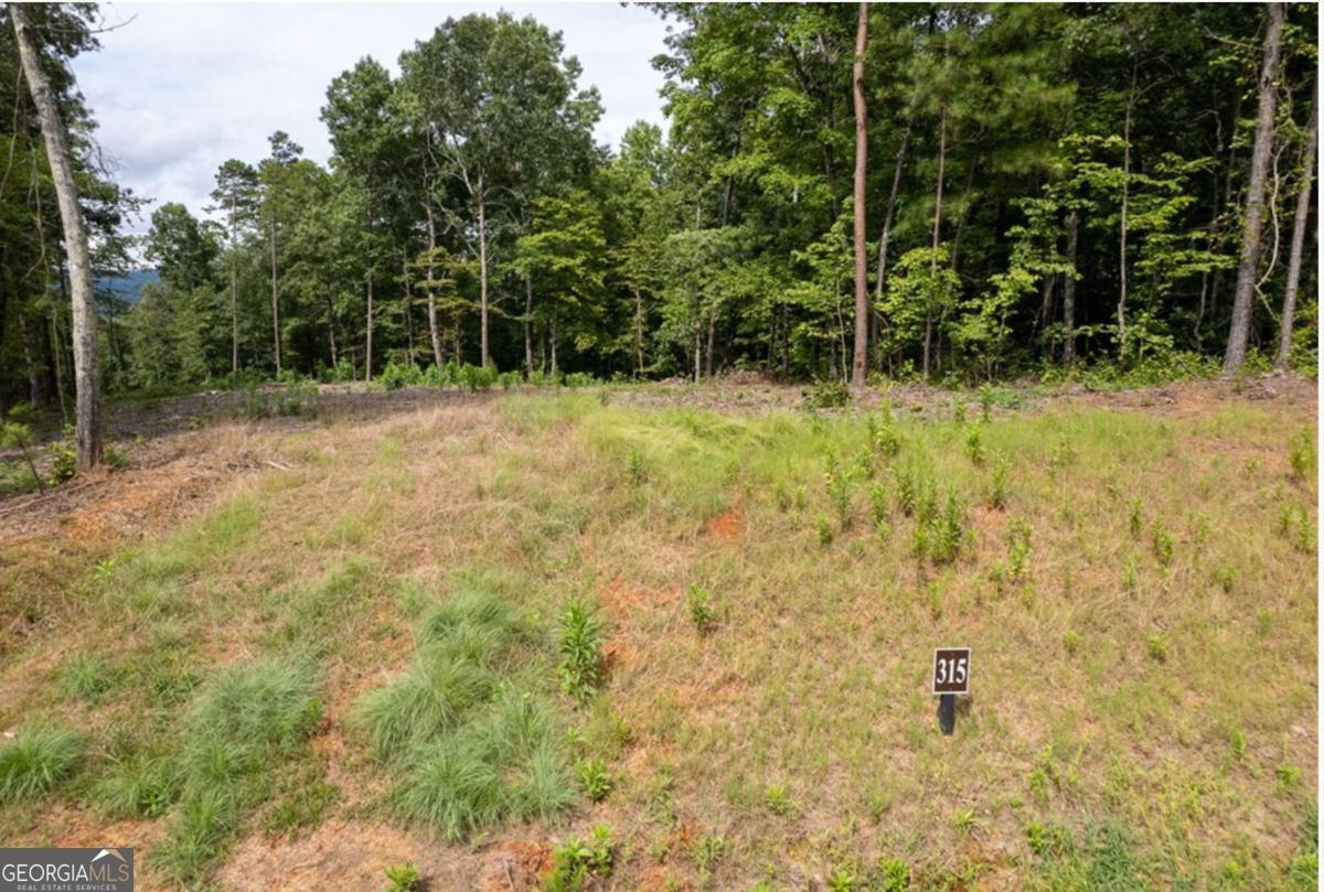 Lot 315 Pebble Trace # 315 Property Photo 2