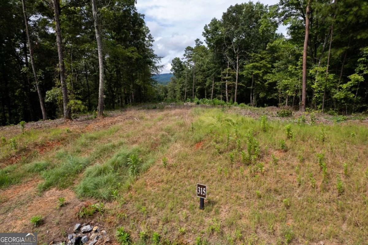Lot 315 Pebble Trace # 315 Property Photo 3