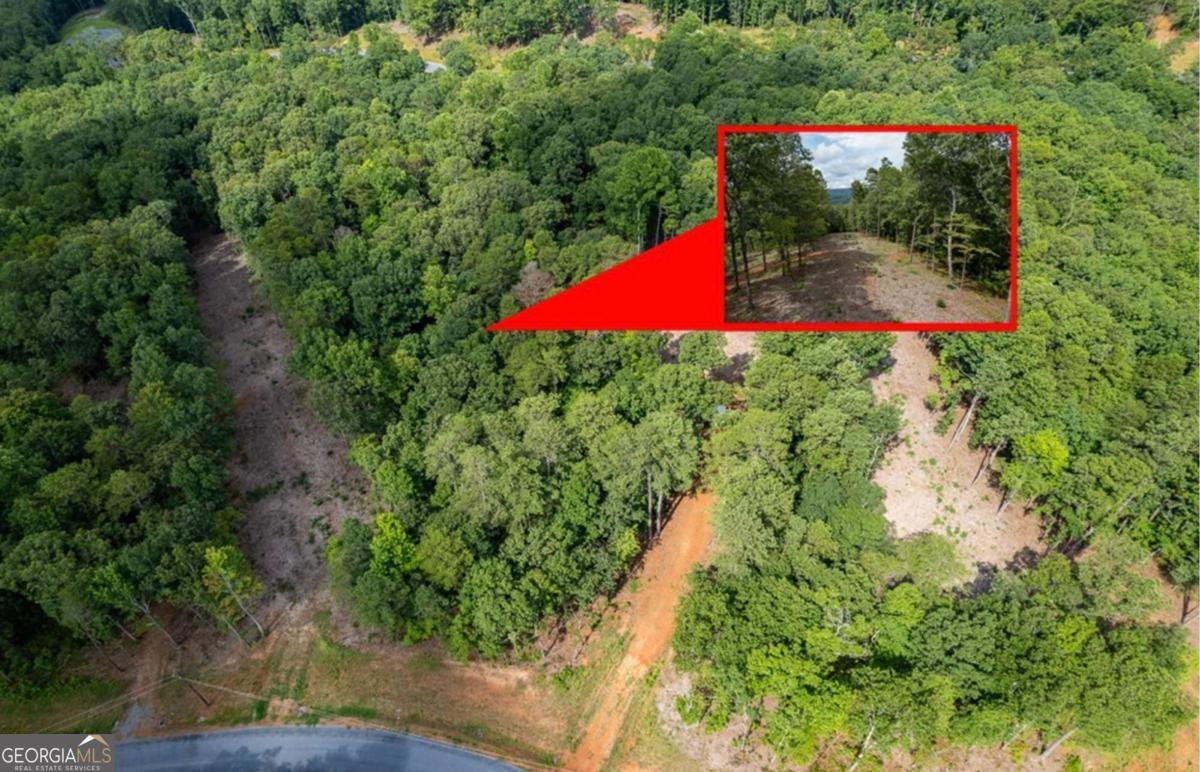 Lot 315 Pebble Trace # 315 Property Photo 4