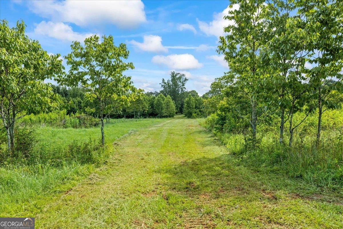 0 Creekview Drive Property Photo 3
