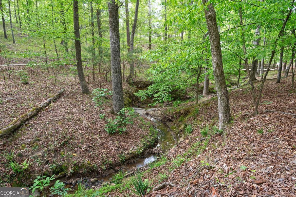 1080 Jones Bluff Court Property Photo 59