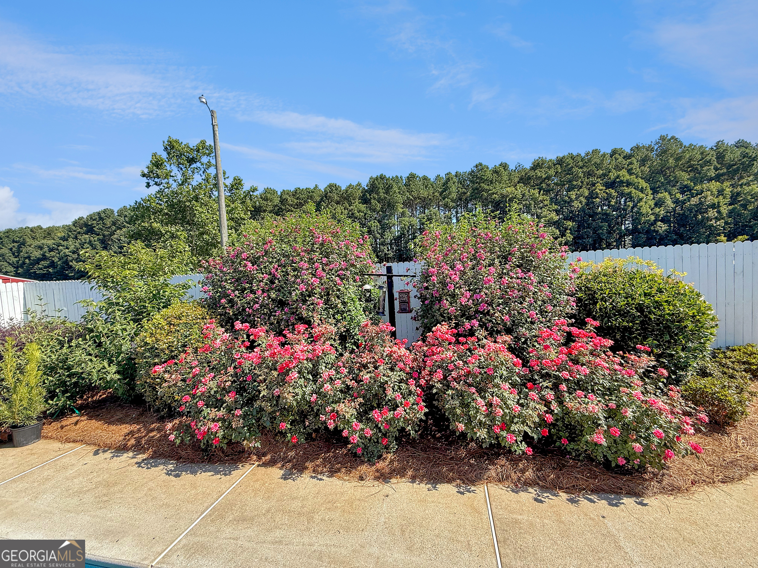 6356 Highway 191 Property Photo 59