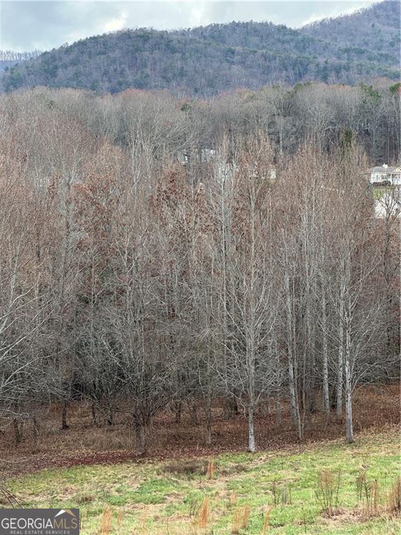 0 Hwy 75 Alt Ga Property Photo 1