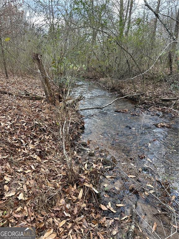 0 Hwy 75 Alt Ga Property Photo 2