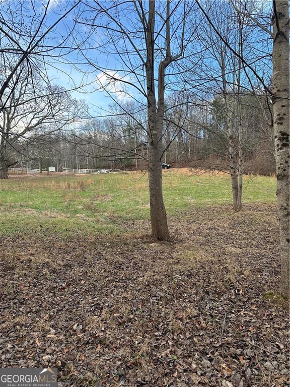 0 Hwy 75 Alt Ga Property Photo 3