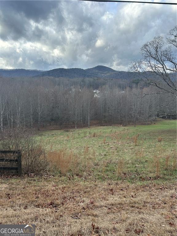 0 Hwy 75 Alt Ga Property Photo 4