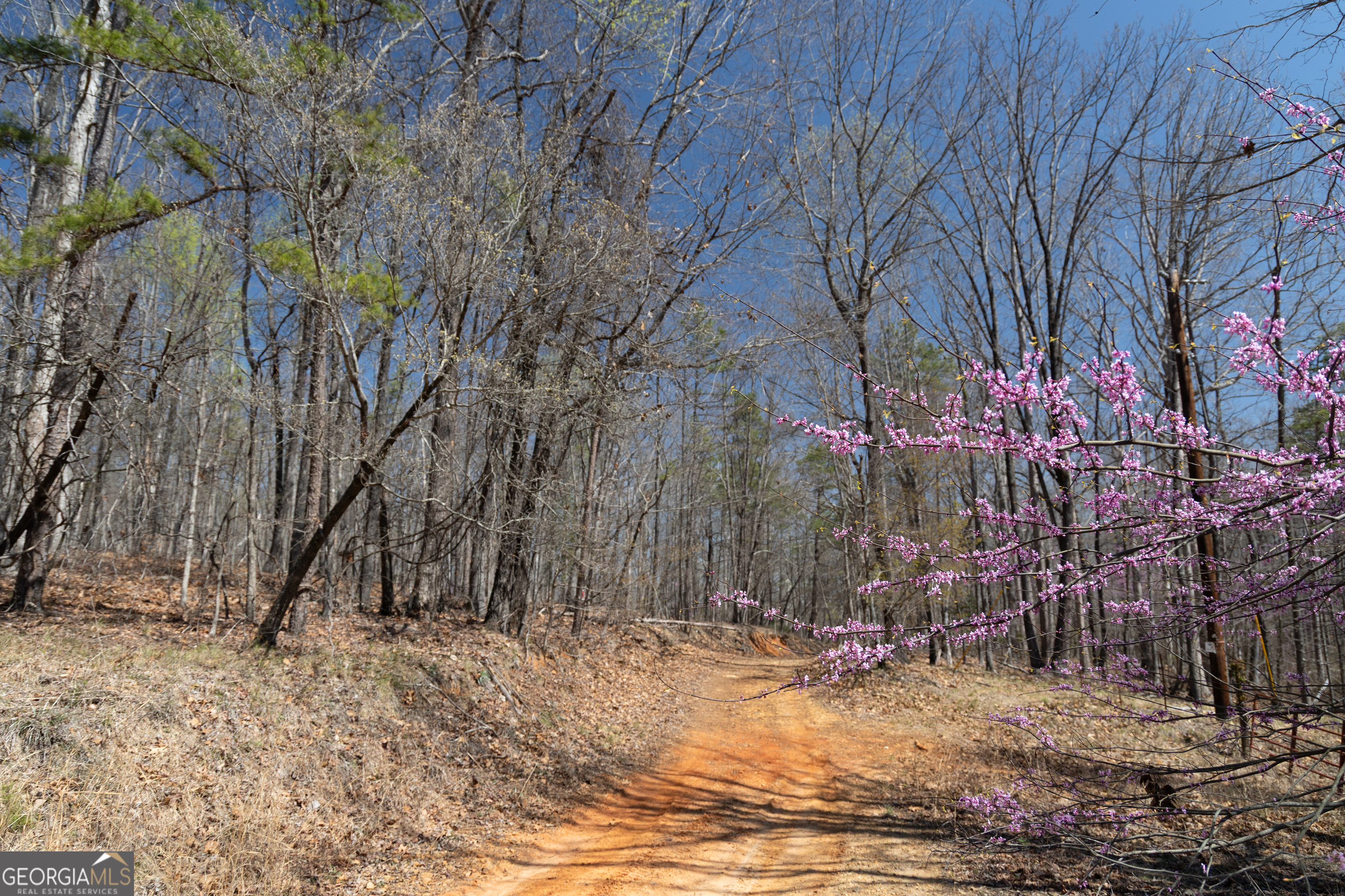 0 Soapstone Road Property Photo 2