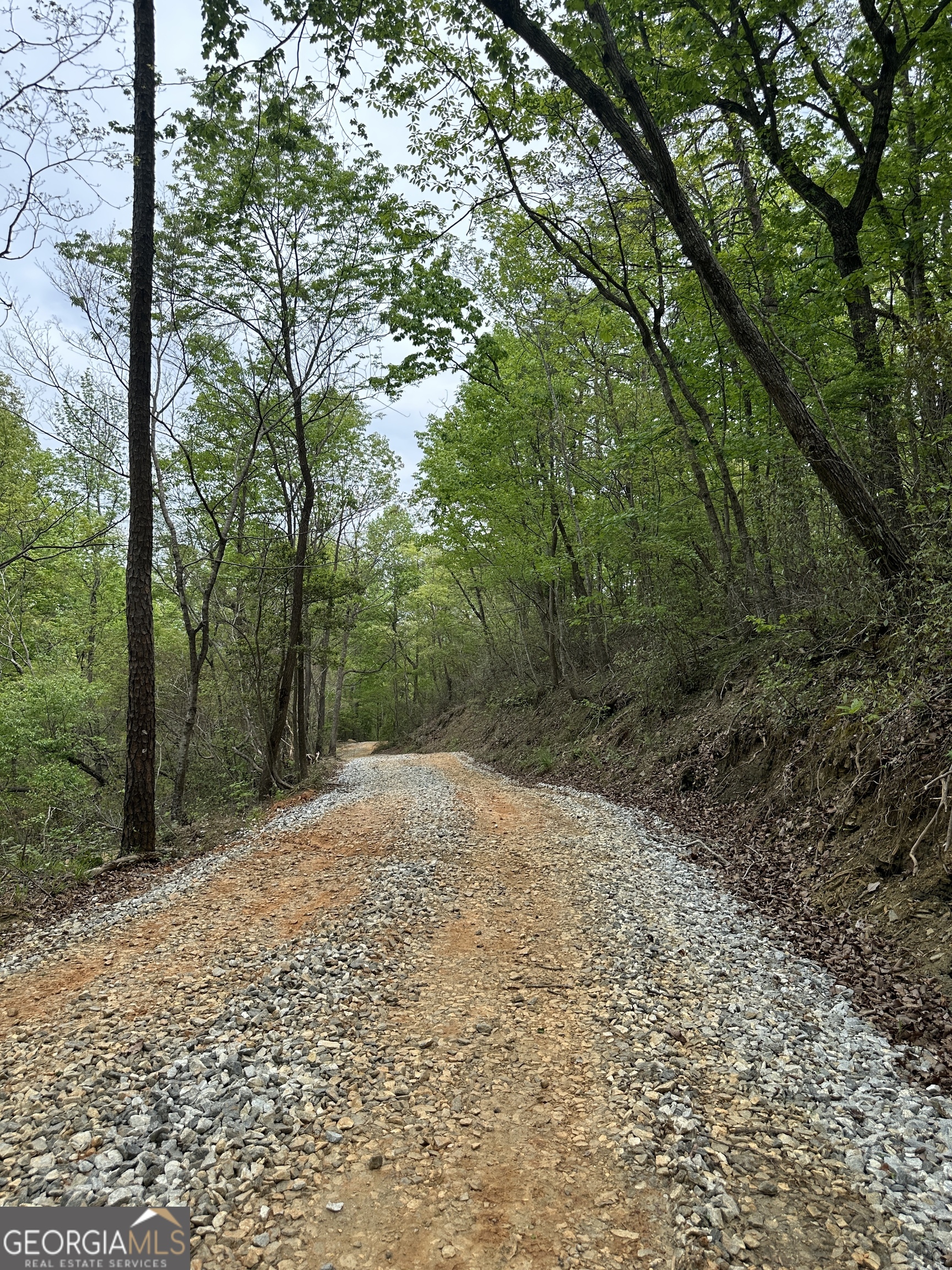 0 Soapstone Road Property Photo 6