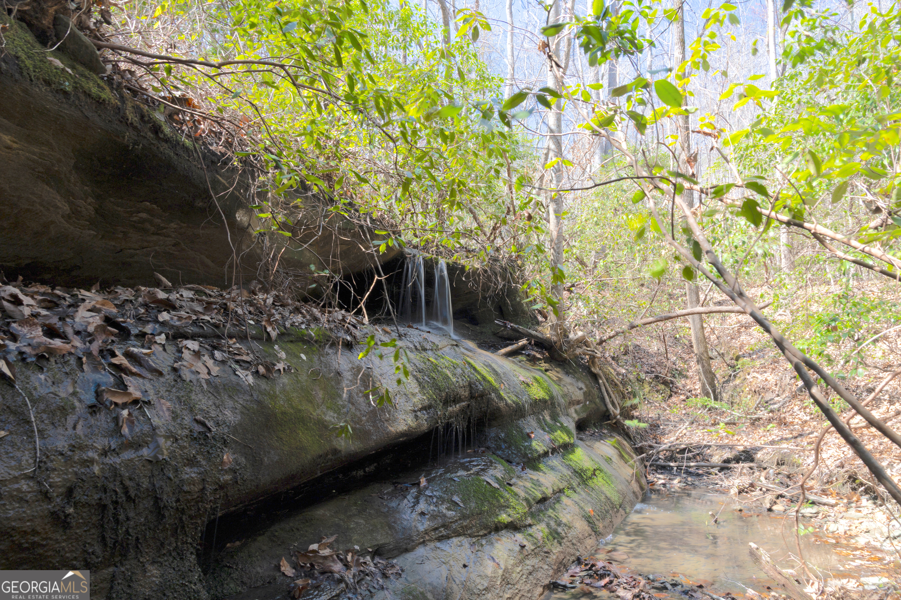 0 Soapstone Road Property Photo 7