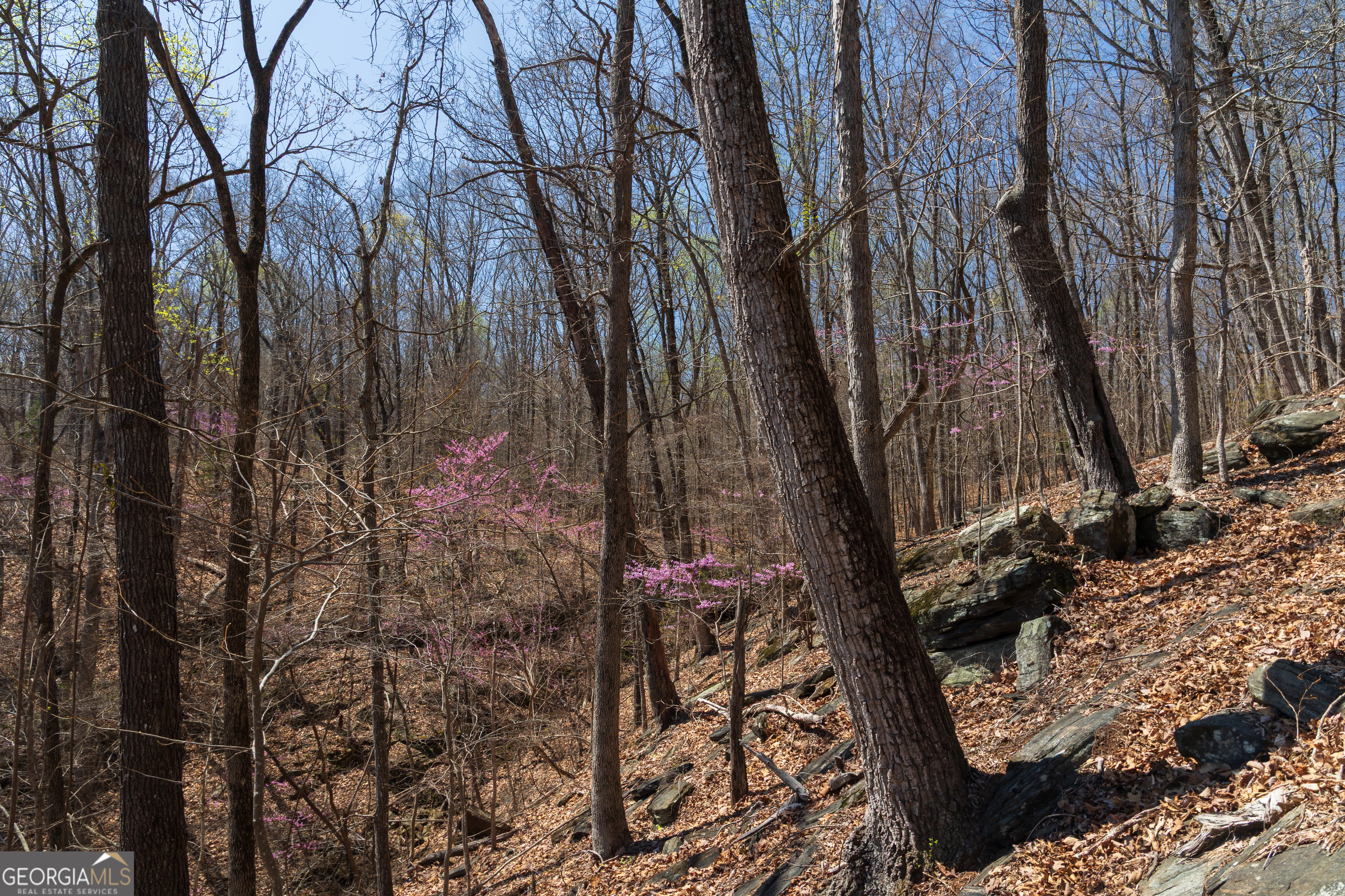 0 Soapstone Road Property Photo 14