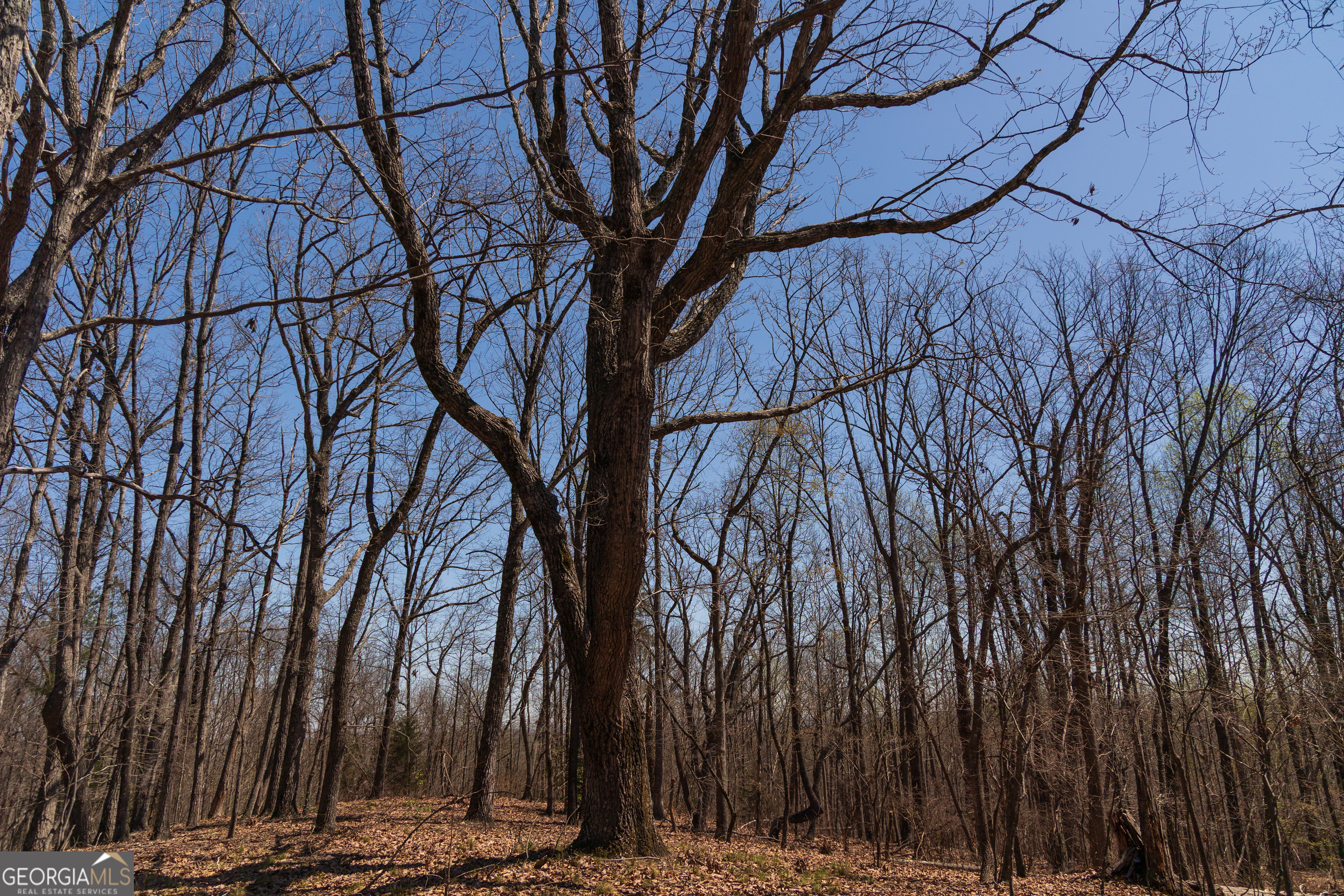 0 Soapstone Road Property Photo 15