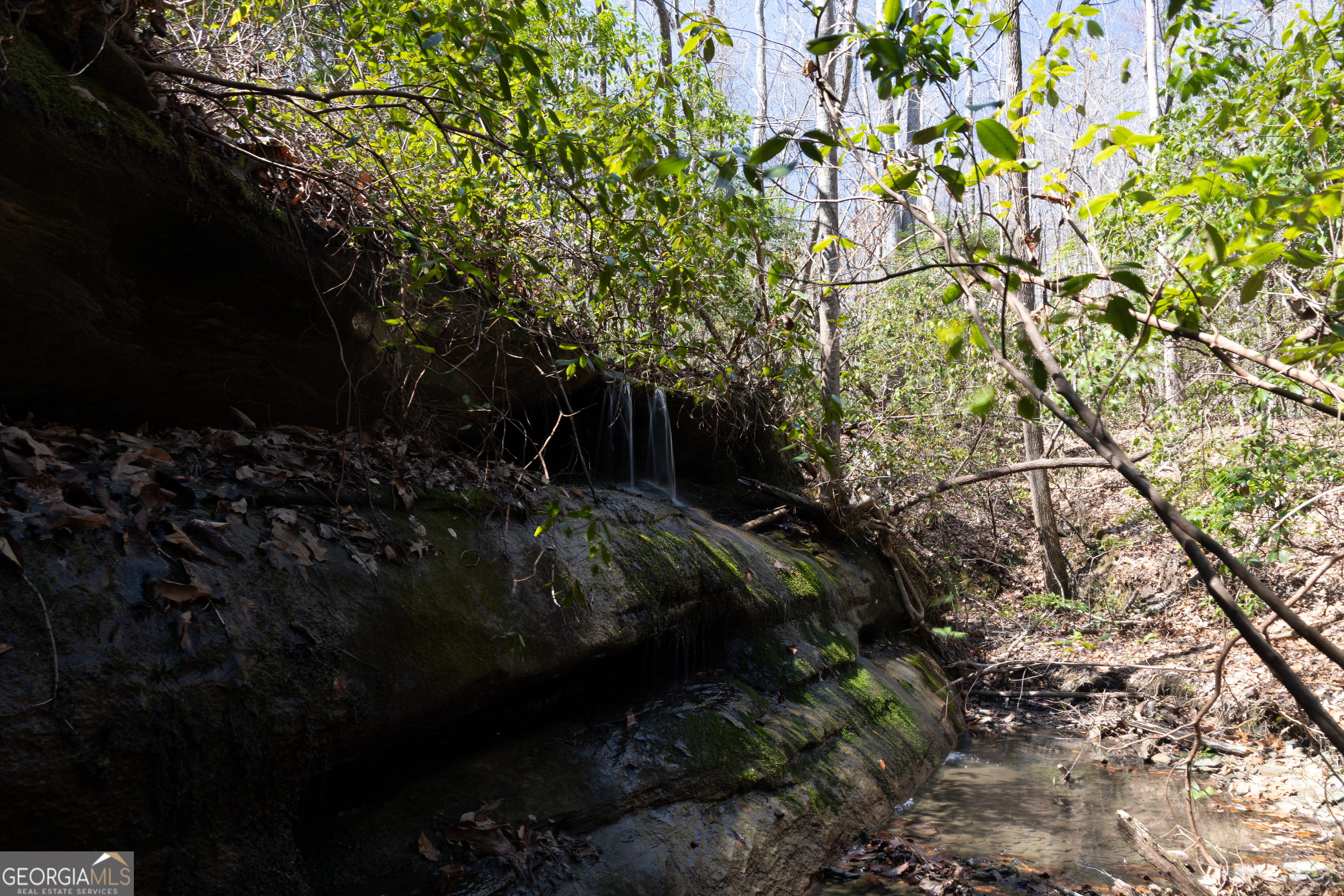 0 Soapstone Road Property Photo 16
