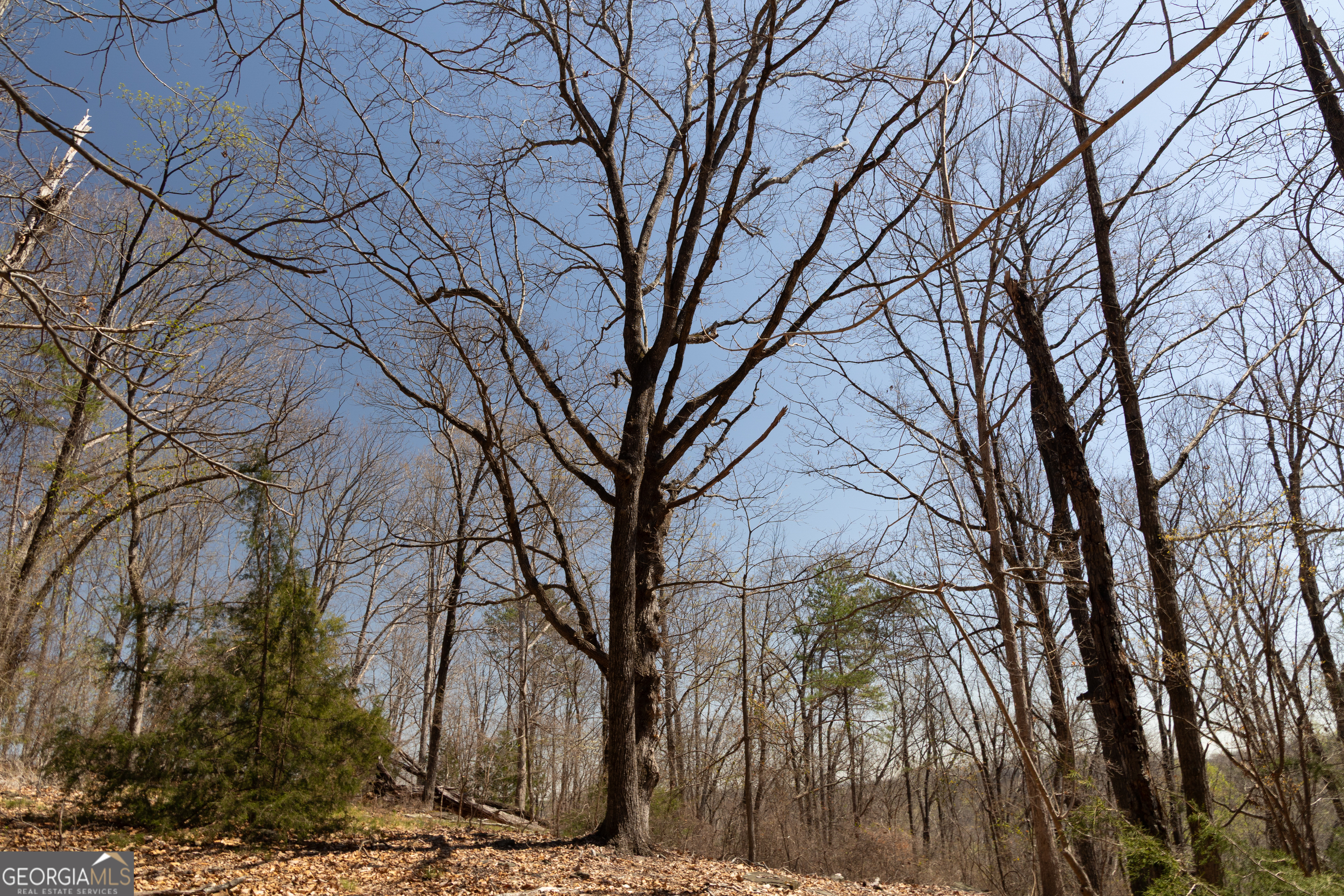 0 Soapstone Road Property Photo 17