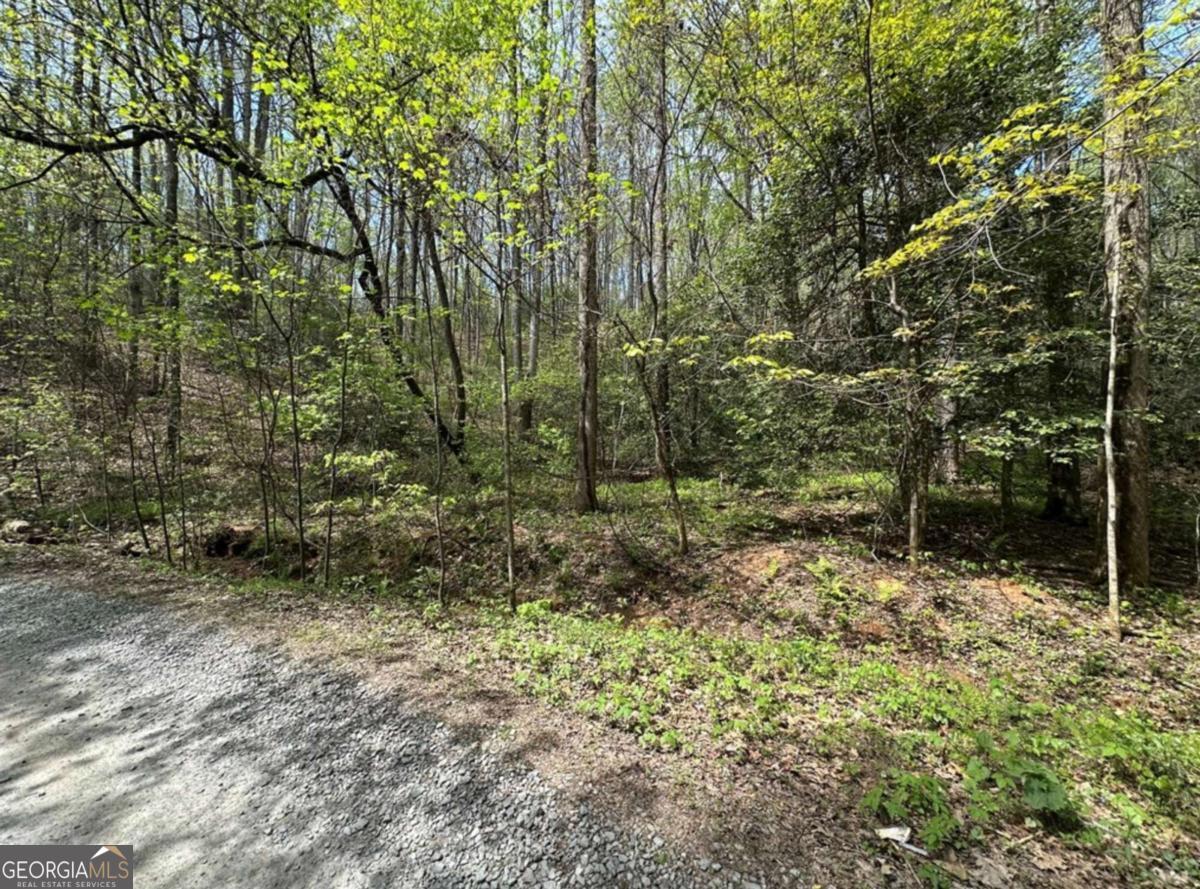Lot 20 Big Ben Road # 20 Property Photo 2