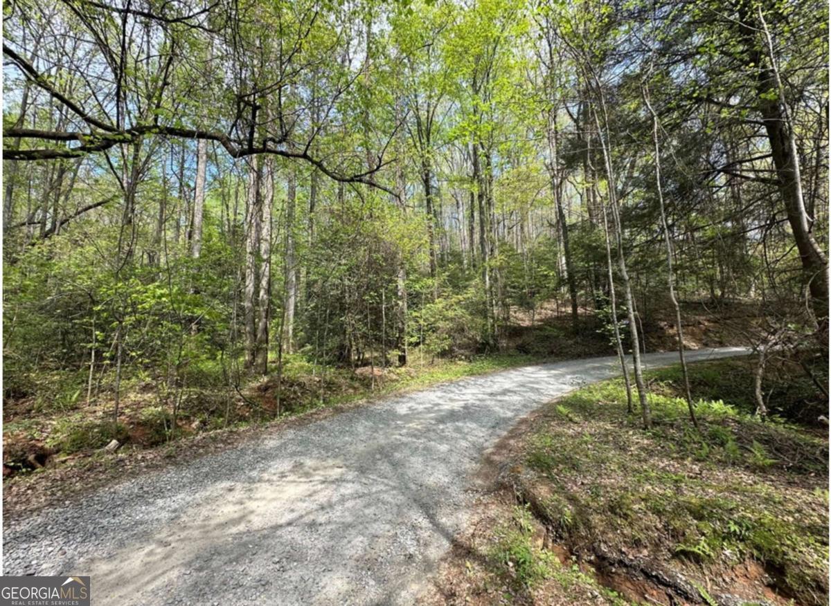Lot 20 Big Ben Road # 20 Property Photo 3