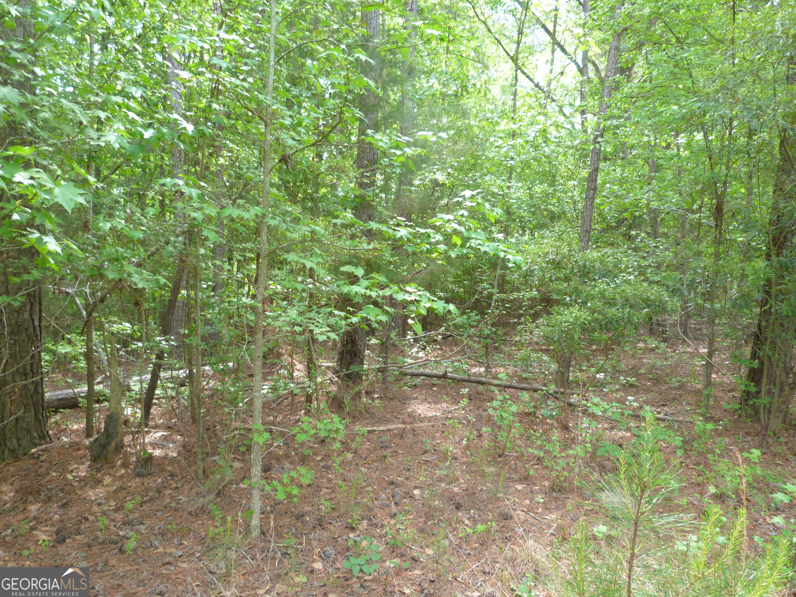 0 Winfield Road Property Photo 1