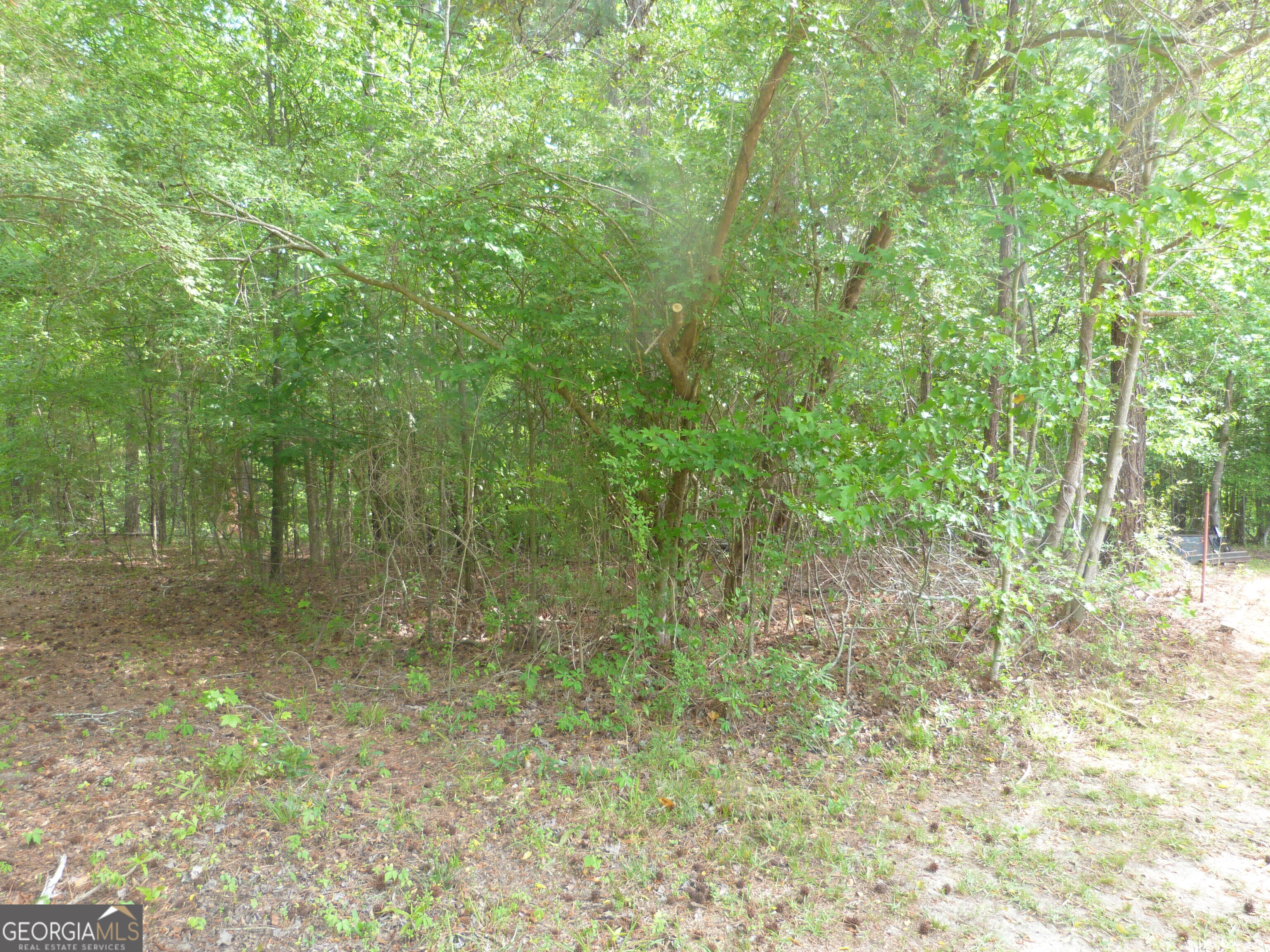 0 Winfield Road Property Photo 2