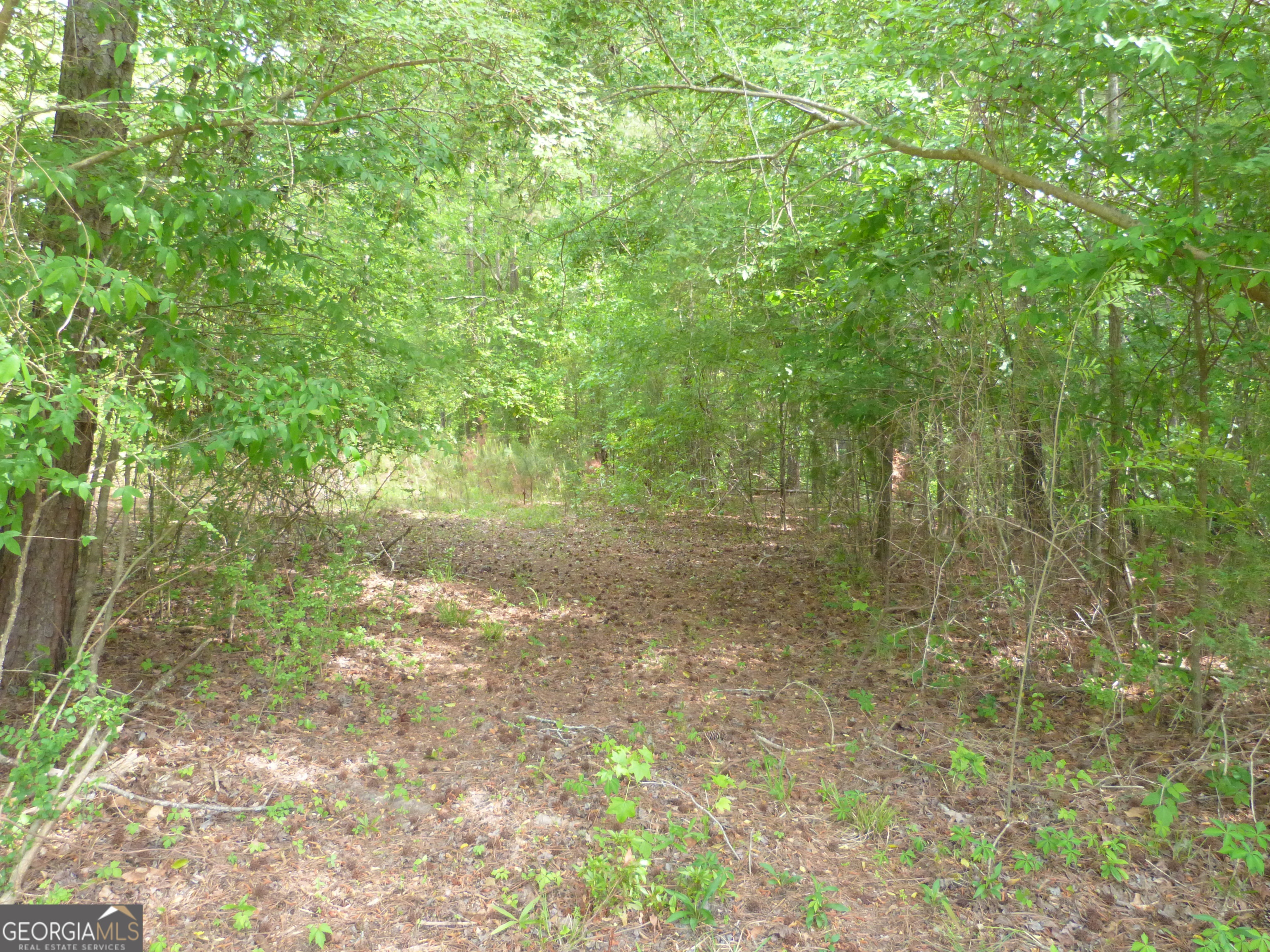 0 Winfield Road Property Photo 3