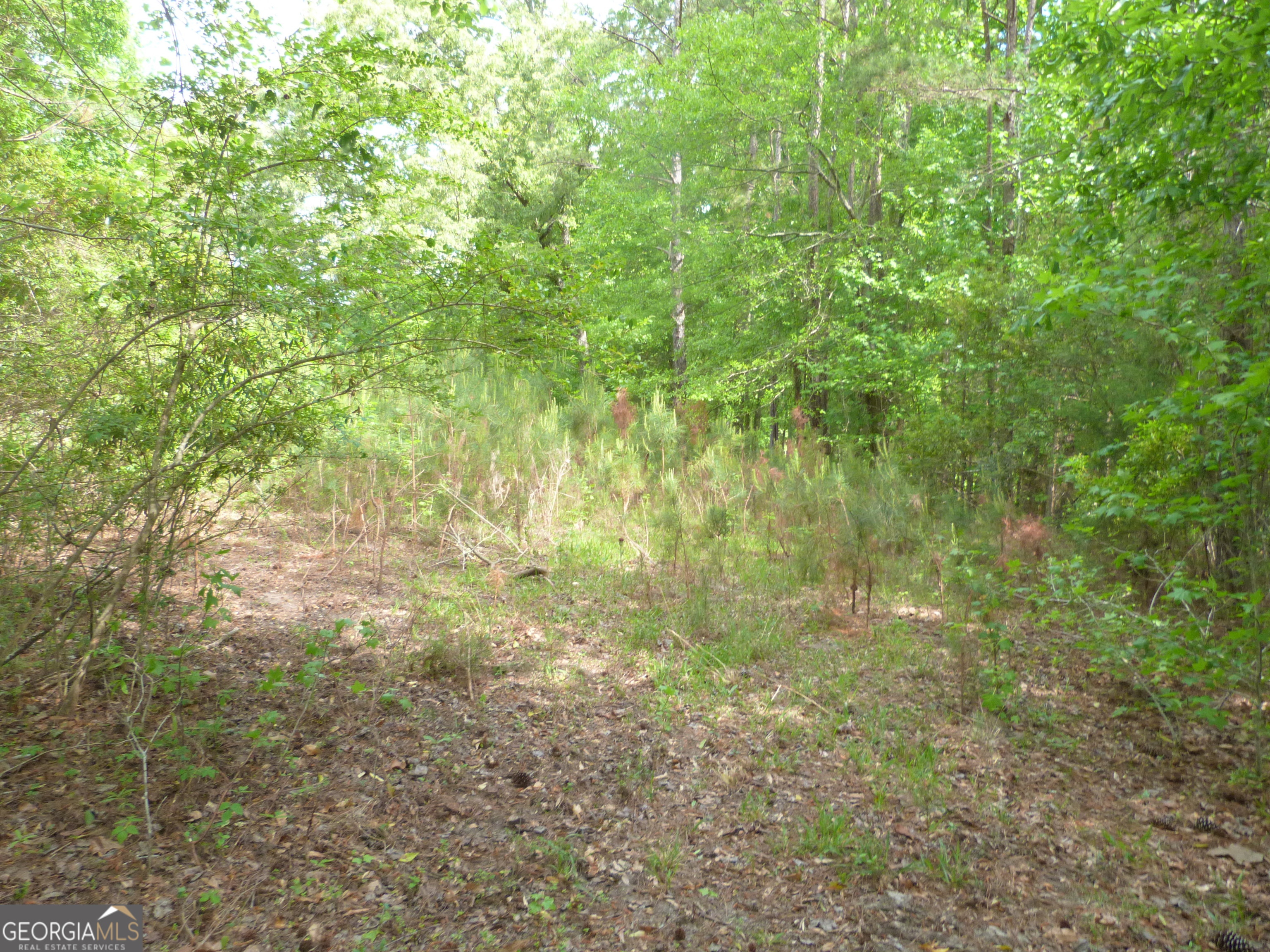 0 Winfield Road Property Photo 4