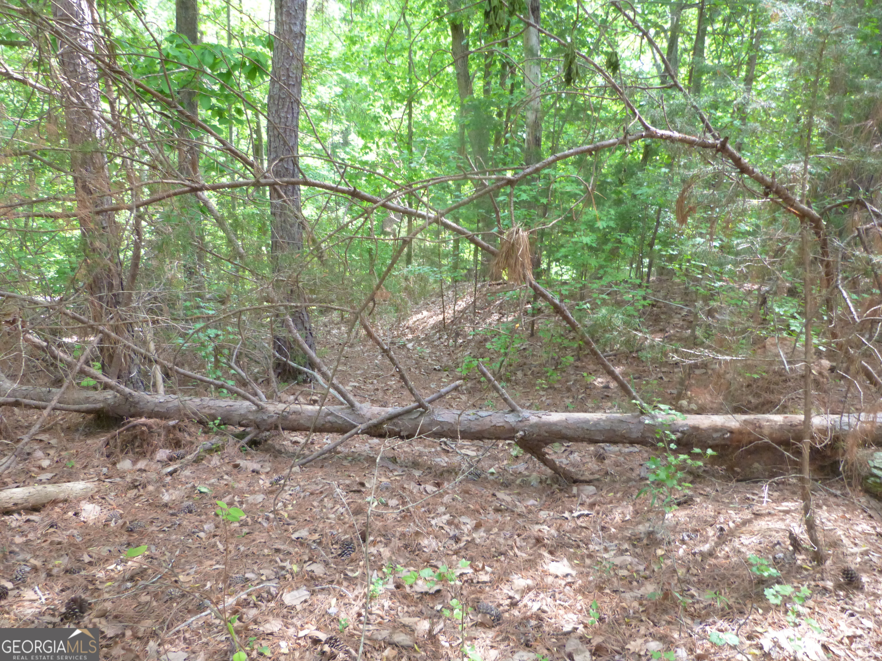 0 Winfield Road Property Photo 6