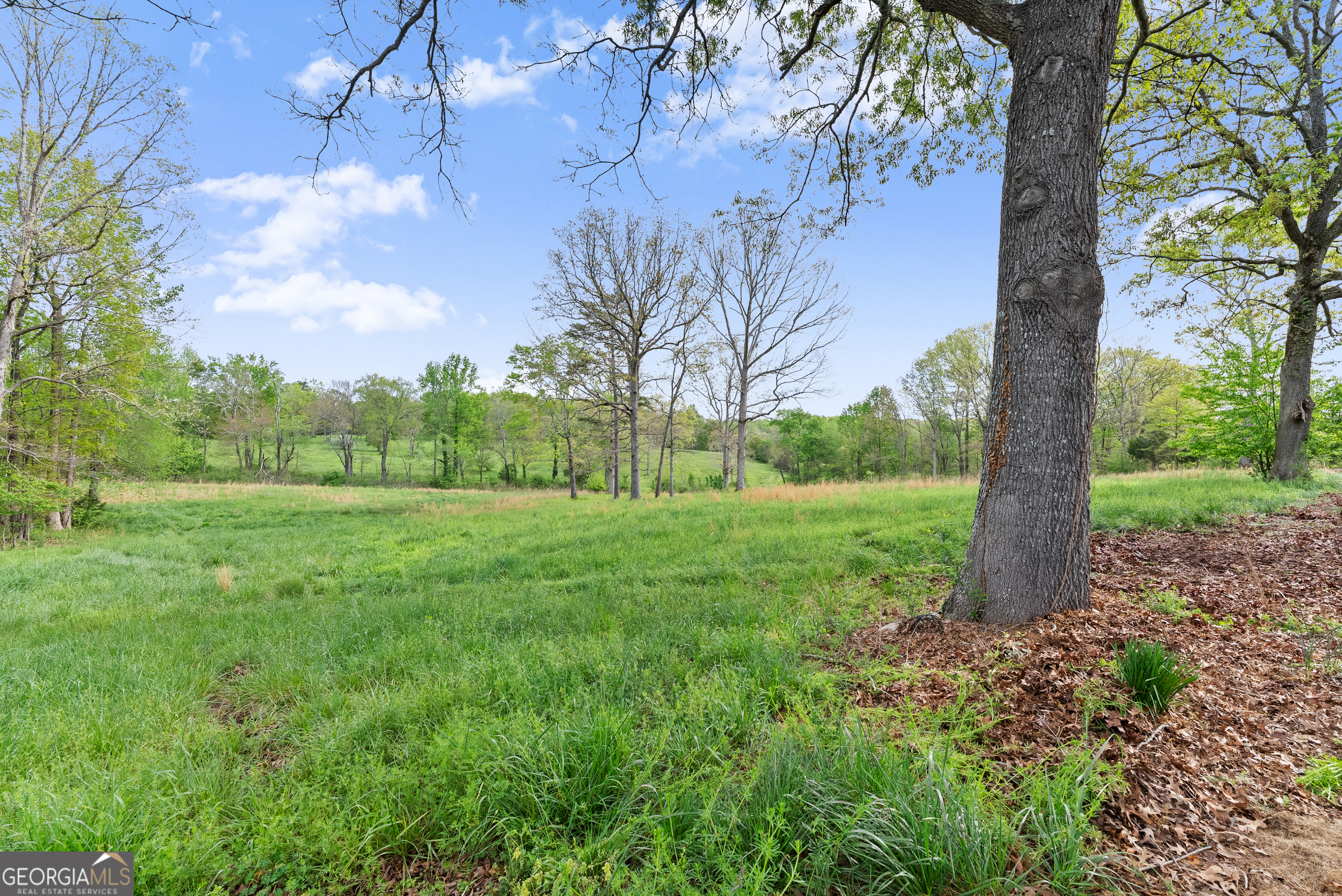 4841 Cobb Griffin Road Property Photo 71