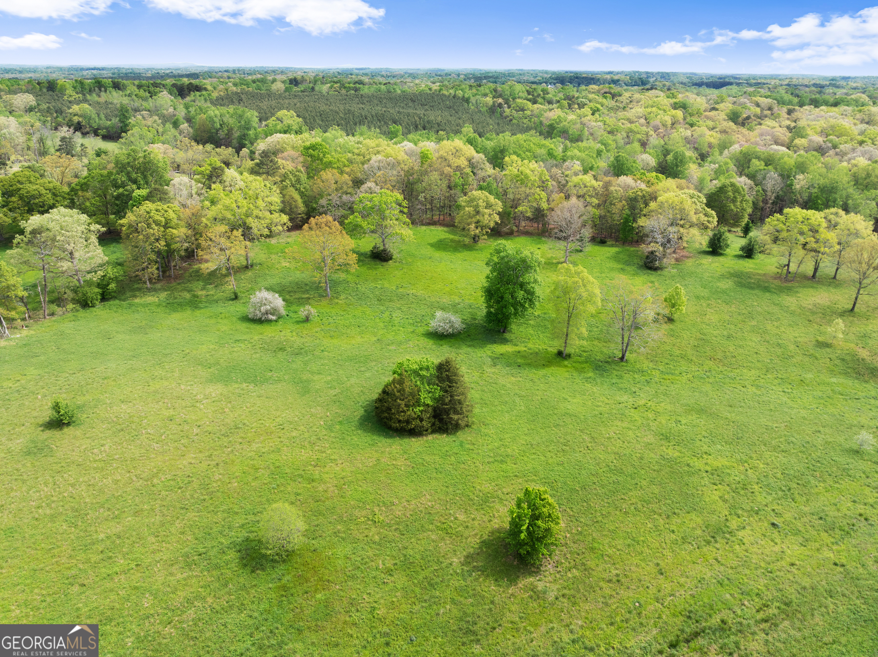 4841 Cobb Griffin Road Property Photo 79