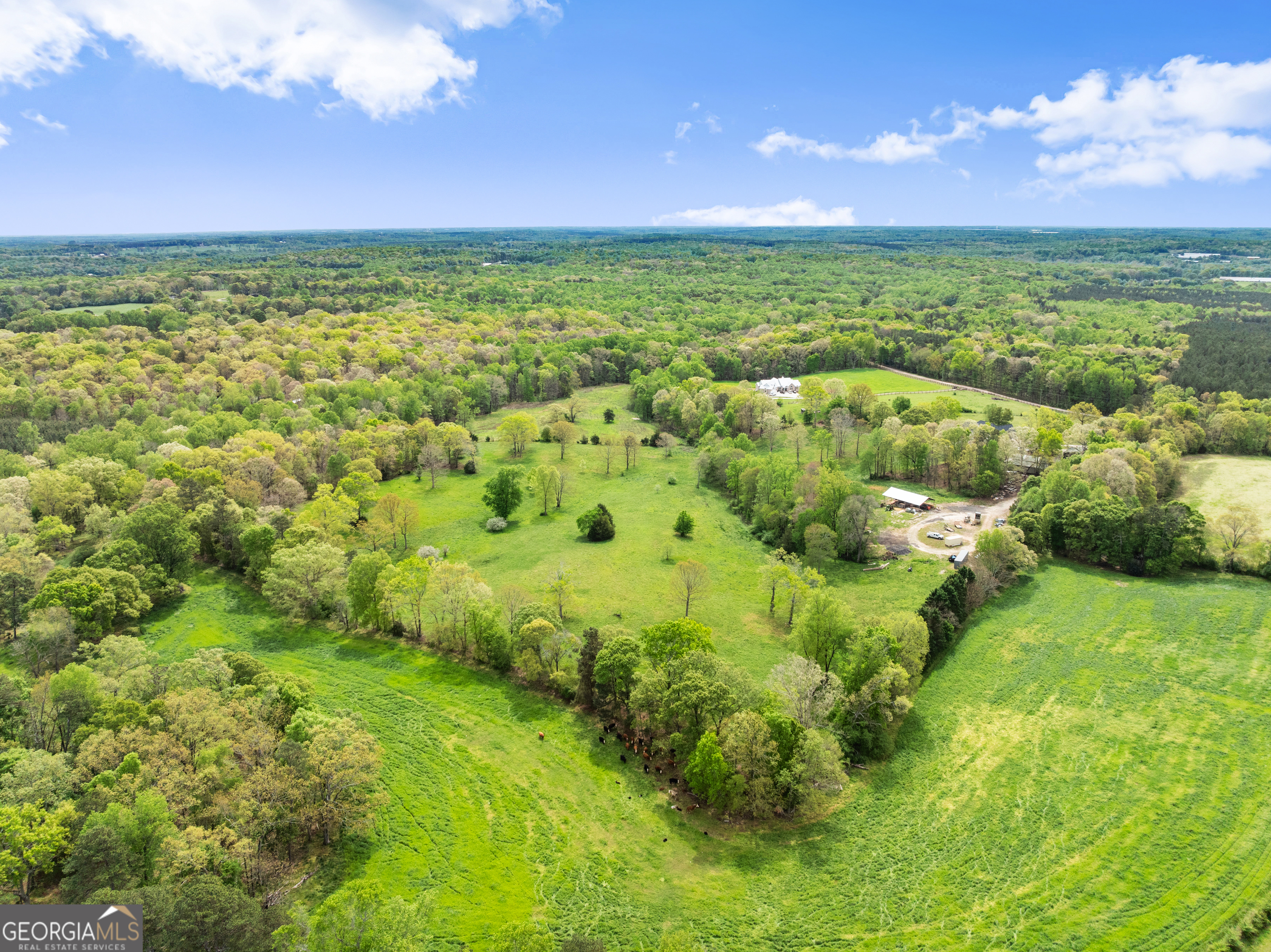 4841 Cobb Griffin Road Property Photo 91