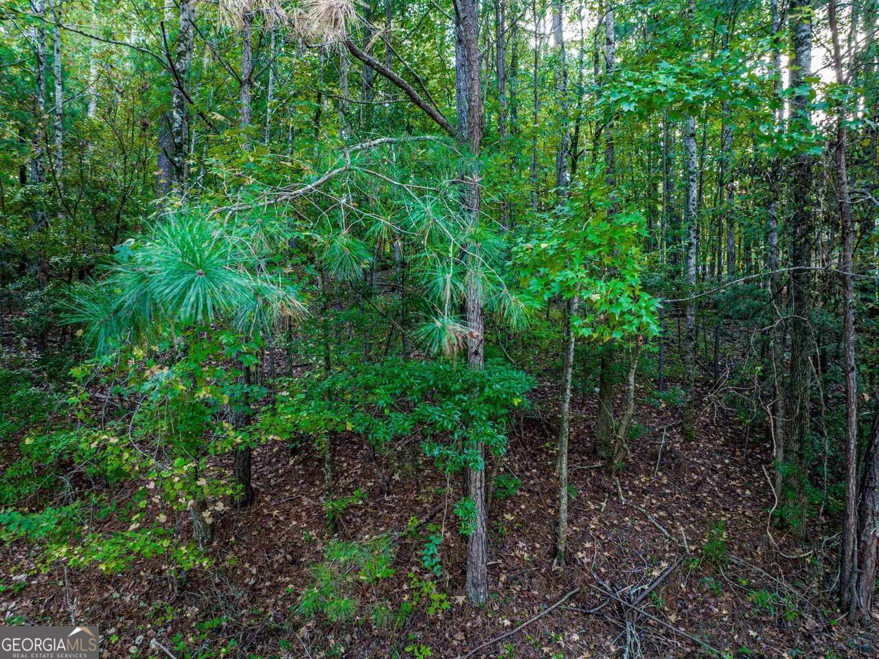 0 Snug Harbor Drive Property Photo 11