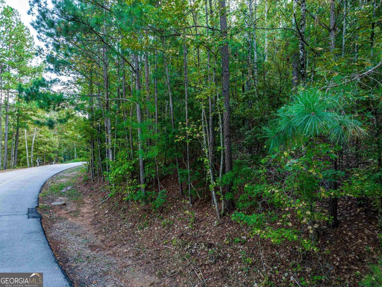 0 Snug Harbor Drive Property Photo 16