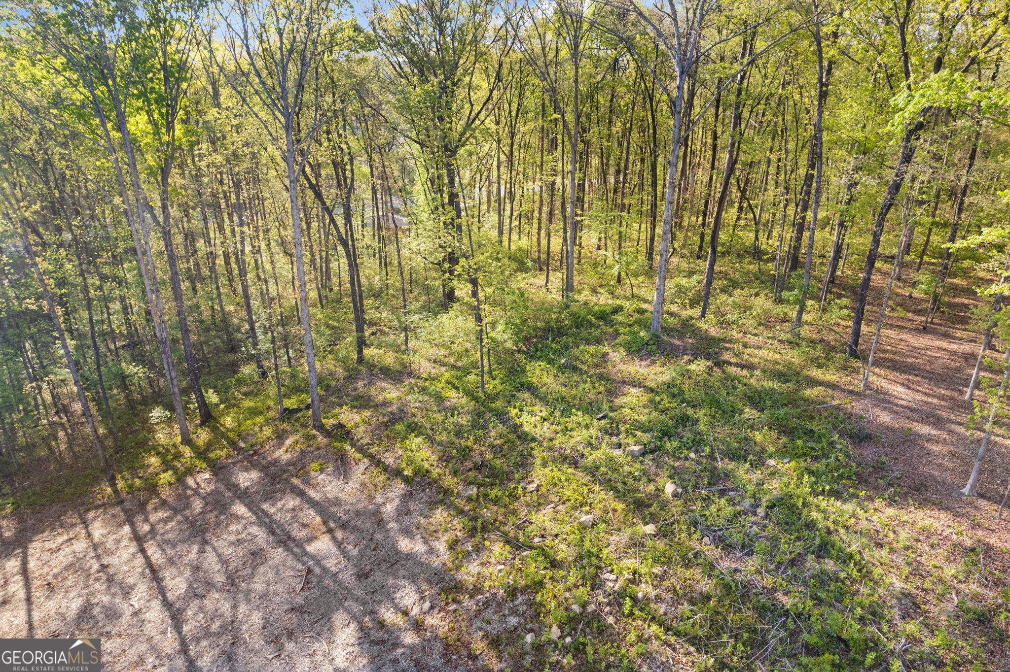 295 Helens Manor Drive Property Photo 6