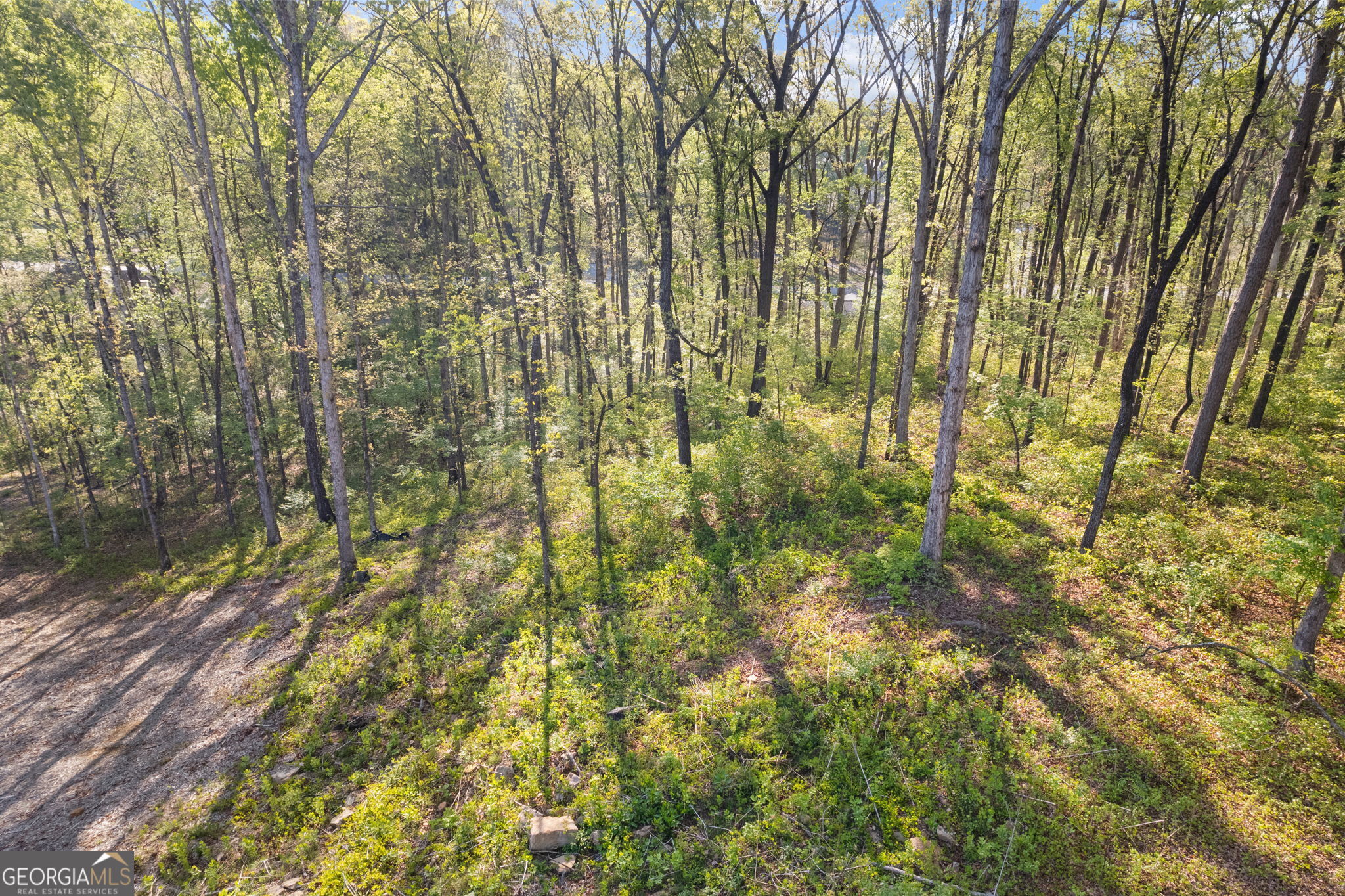 295 Helens Manor Drive Property Photo 8