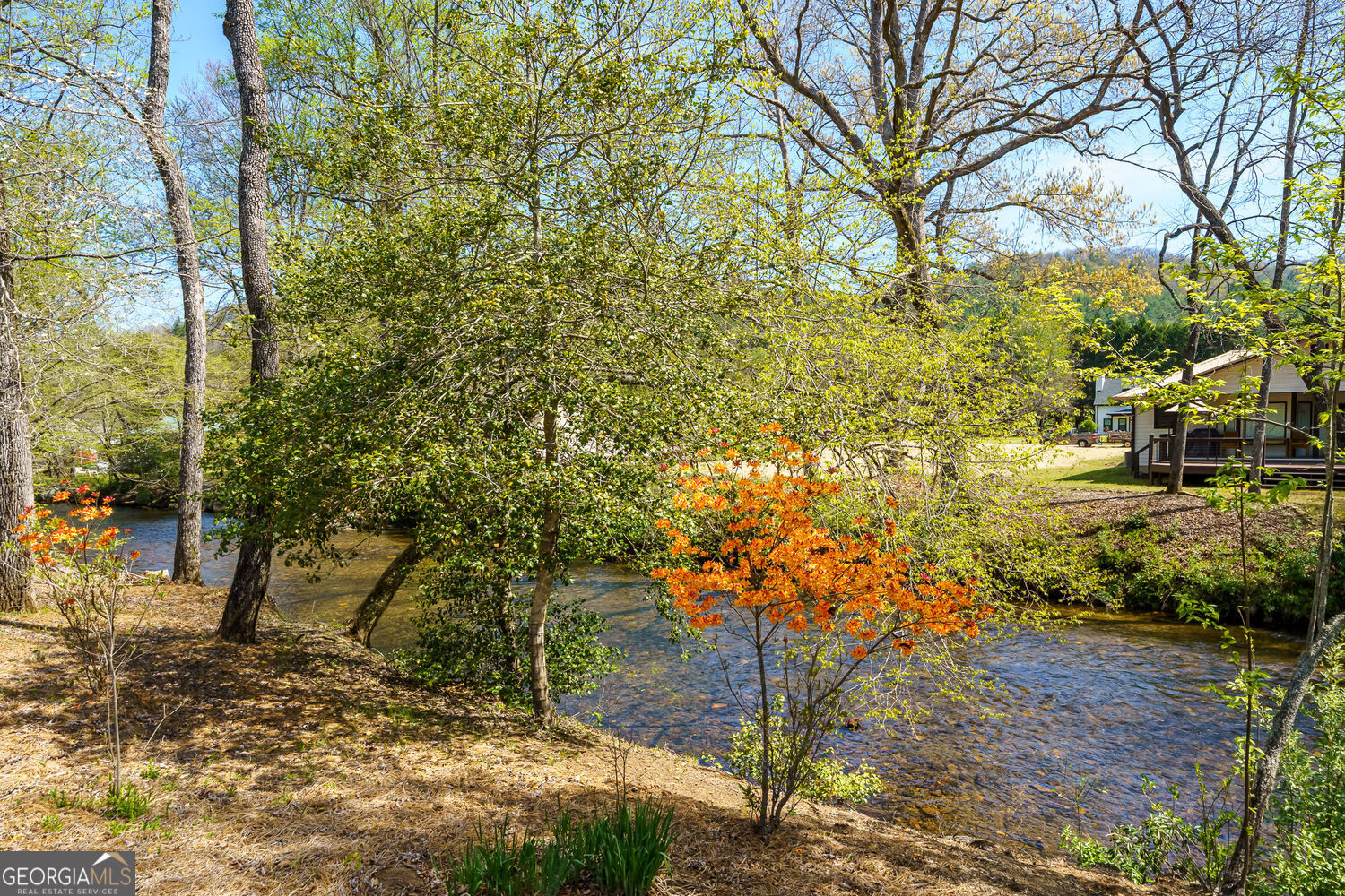 2171 Big Pine Drive Property Photo 48