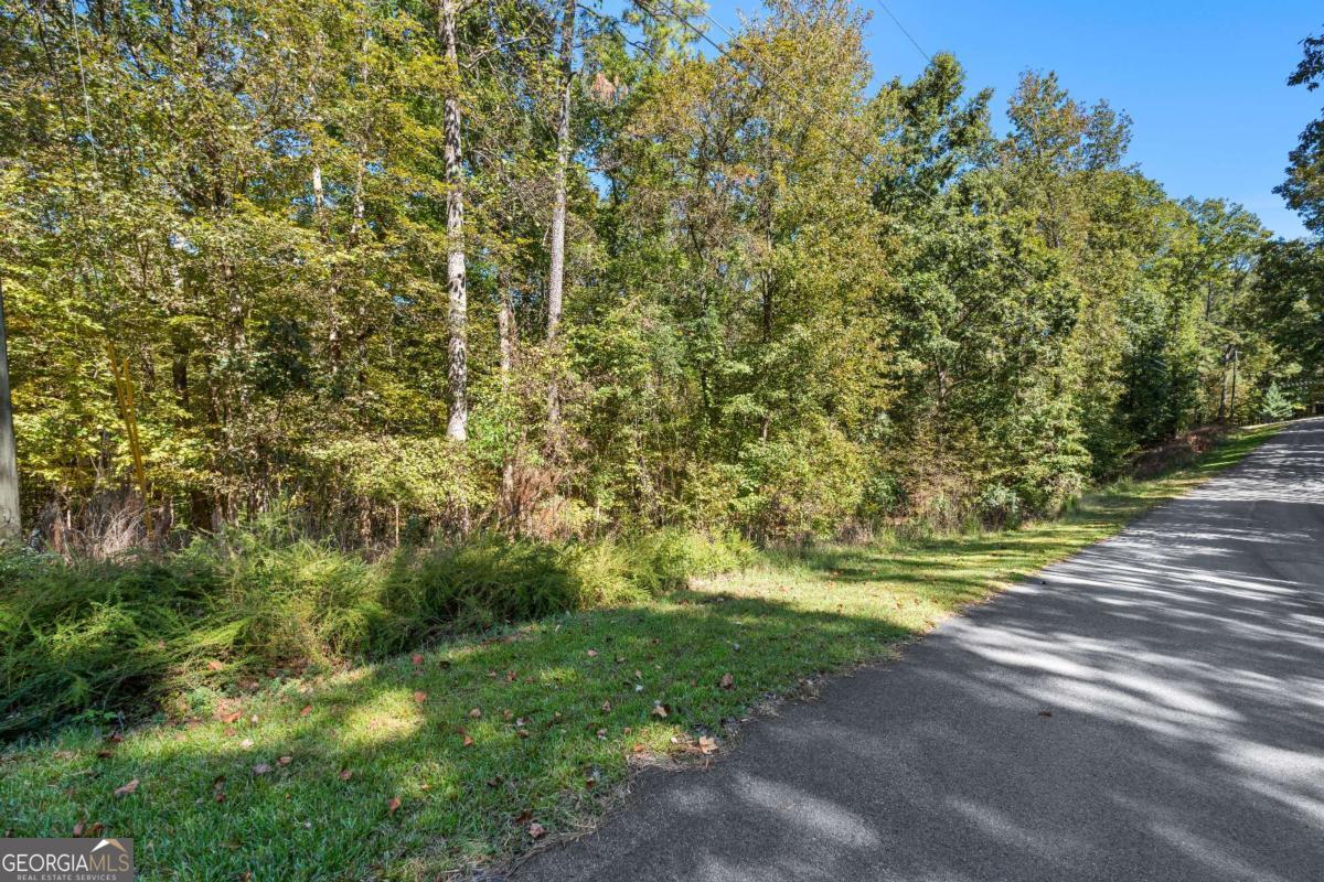 104 Dogwood Point Property Photo 4