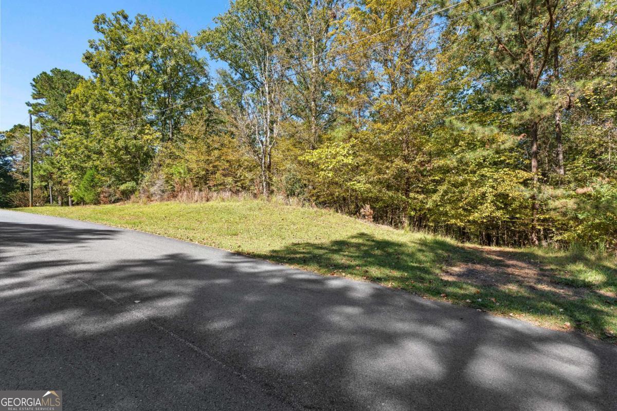104 Dogwood Point Property Photo 6