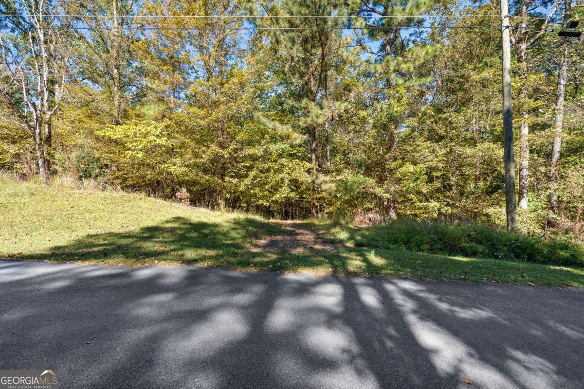 104 Dogwood Point Property Photo 8