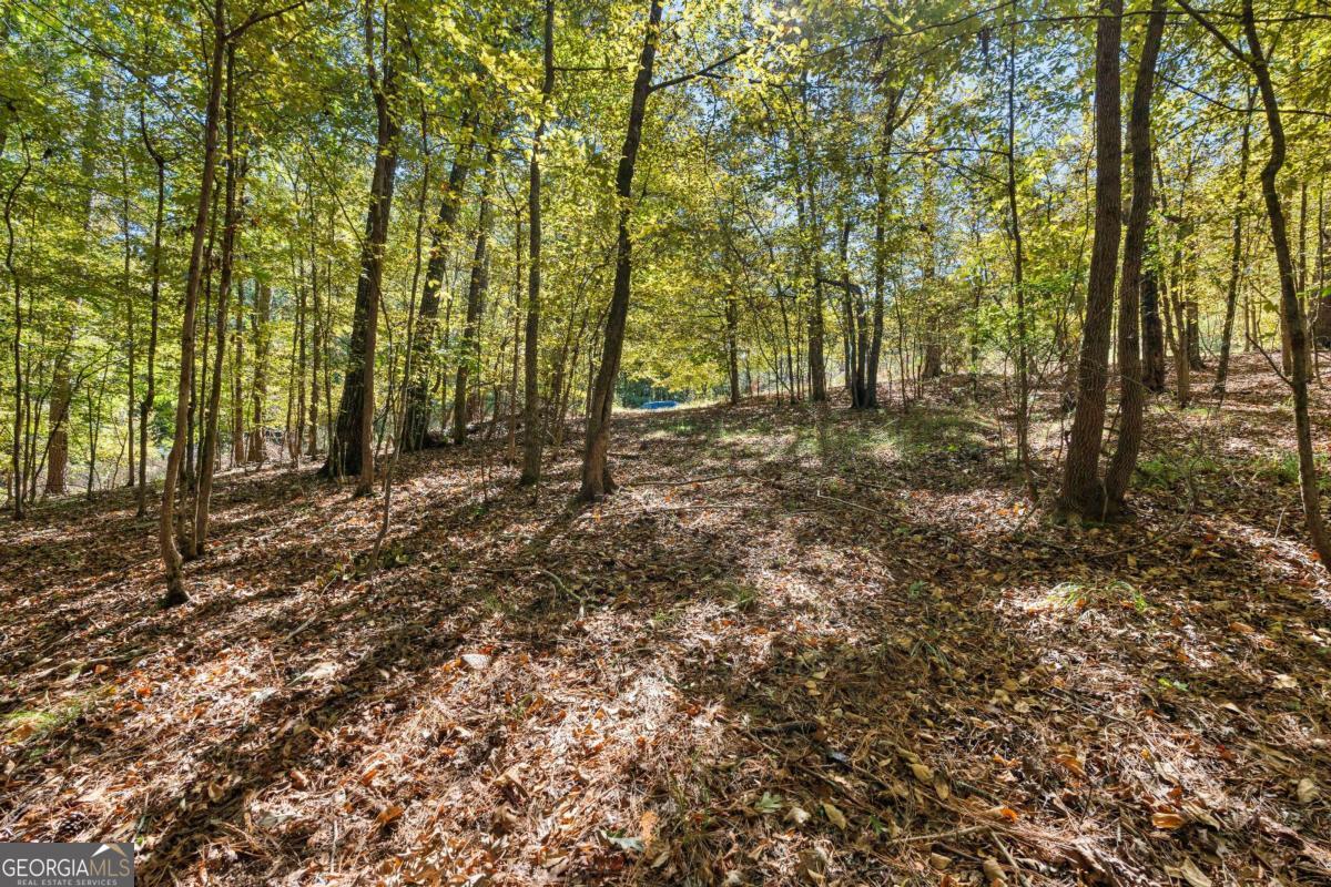 104 Dogwood Point Property Photo 9