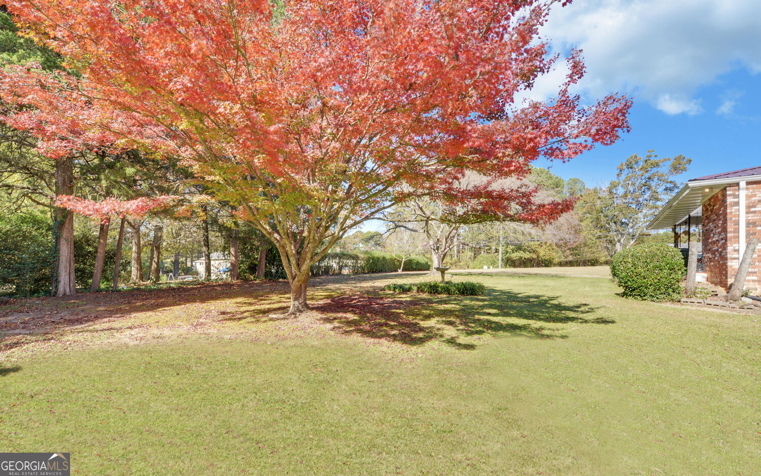 586 Collins Road Property Photo 44