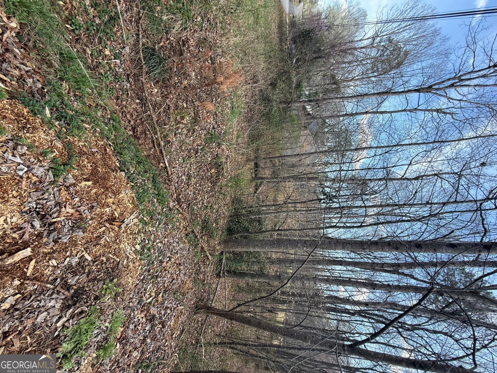 0 Willow Gate Trace Property Photo 4