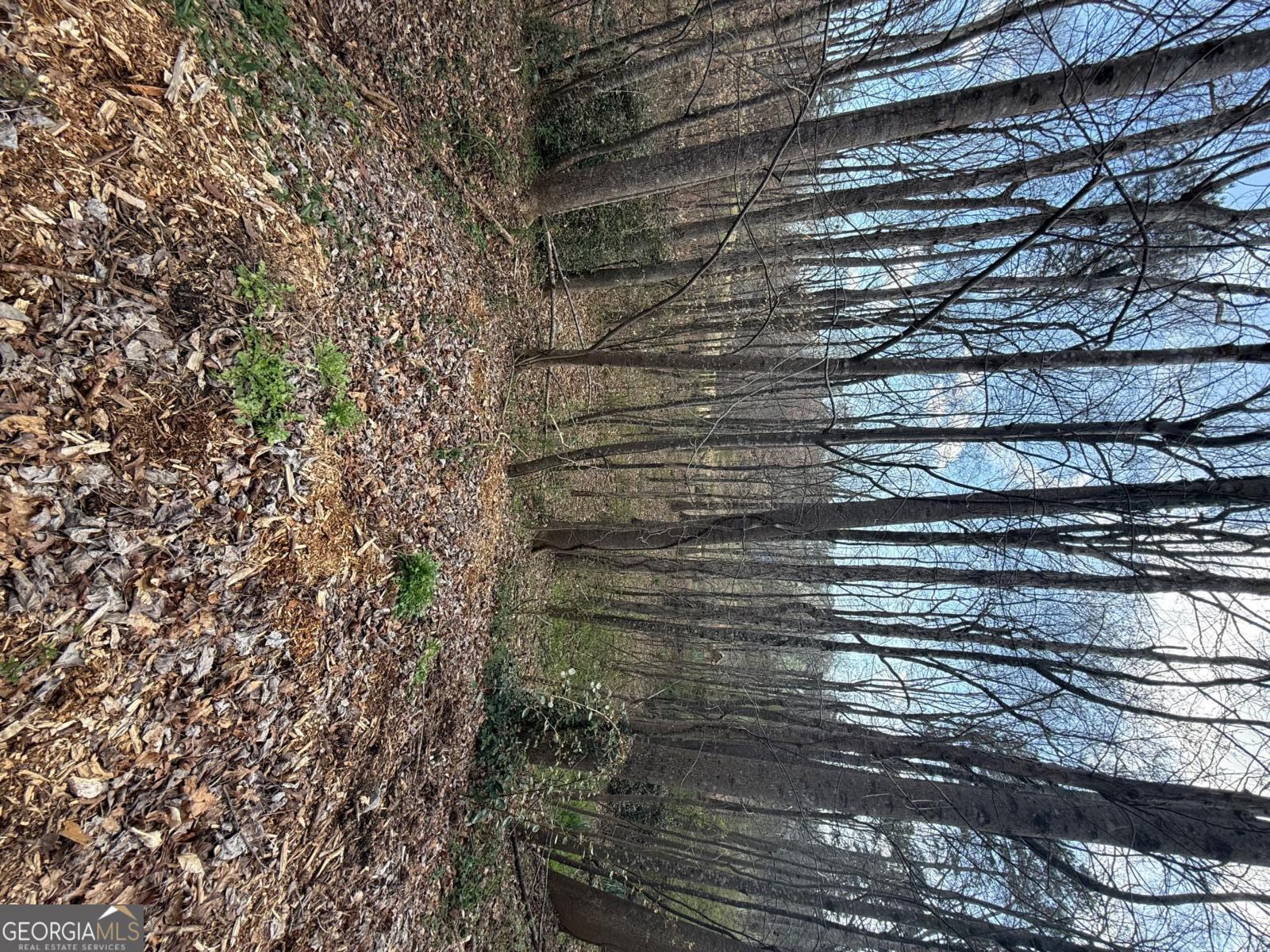 0 Willow Gate Trace Property Photo 5