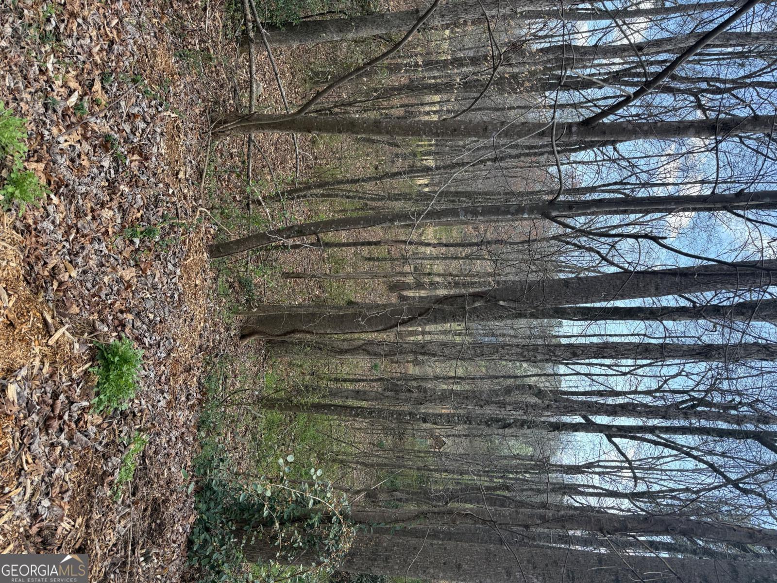 0 Willow Gate Trace Property Photo 6