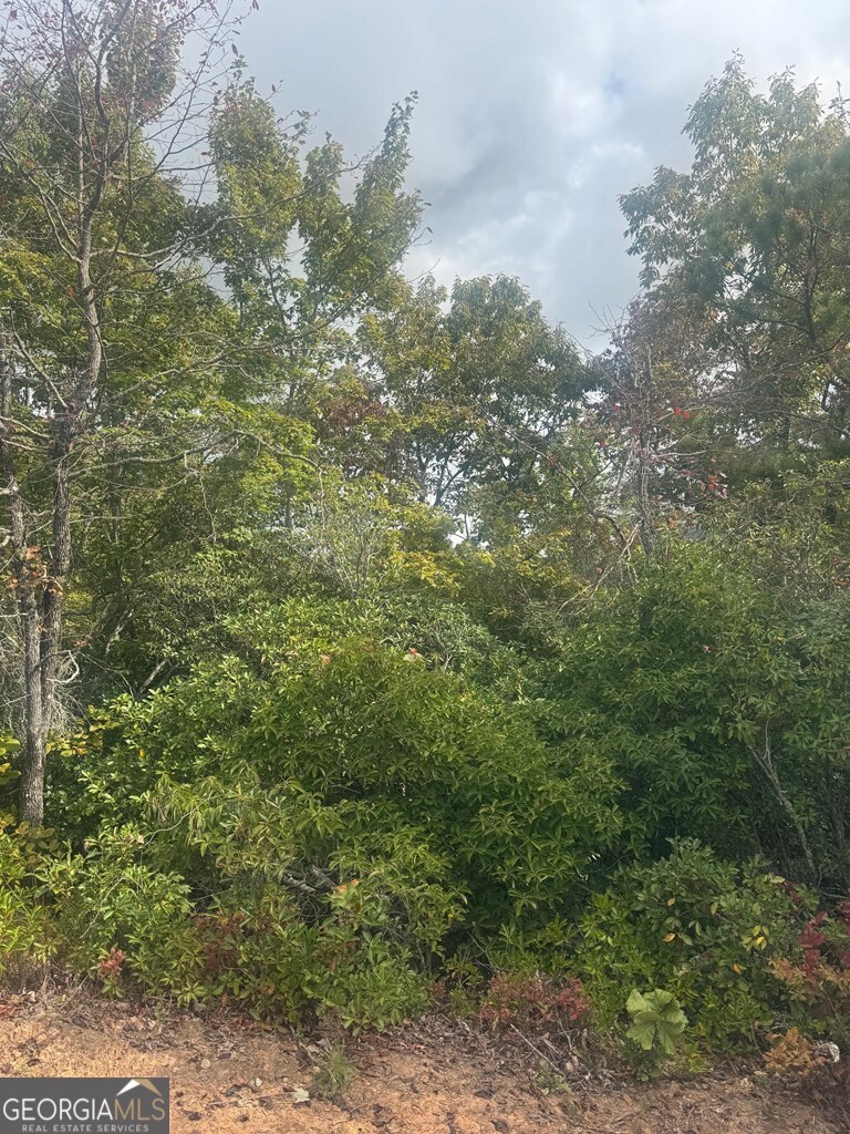 Lot 16 Brown Hawk Drive Property Photo 1
