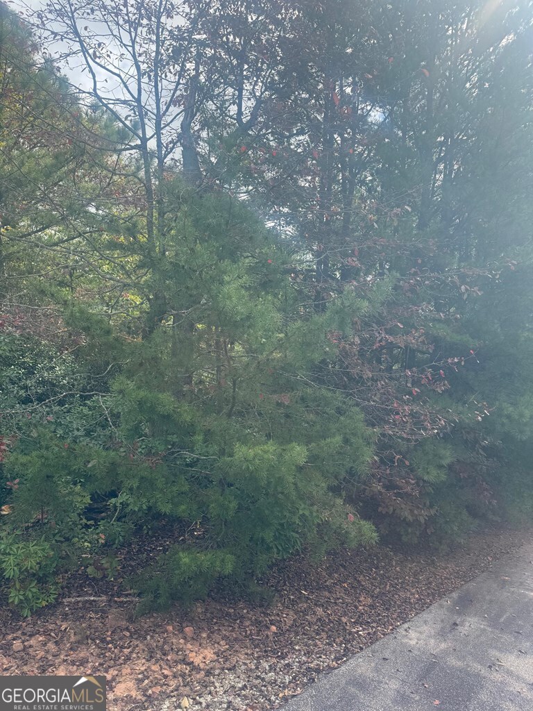Lot 16 Brown Hawk Drive Property Photo 2