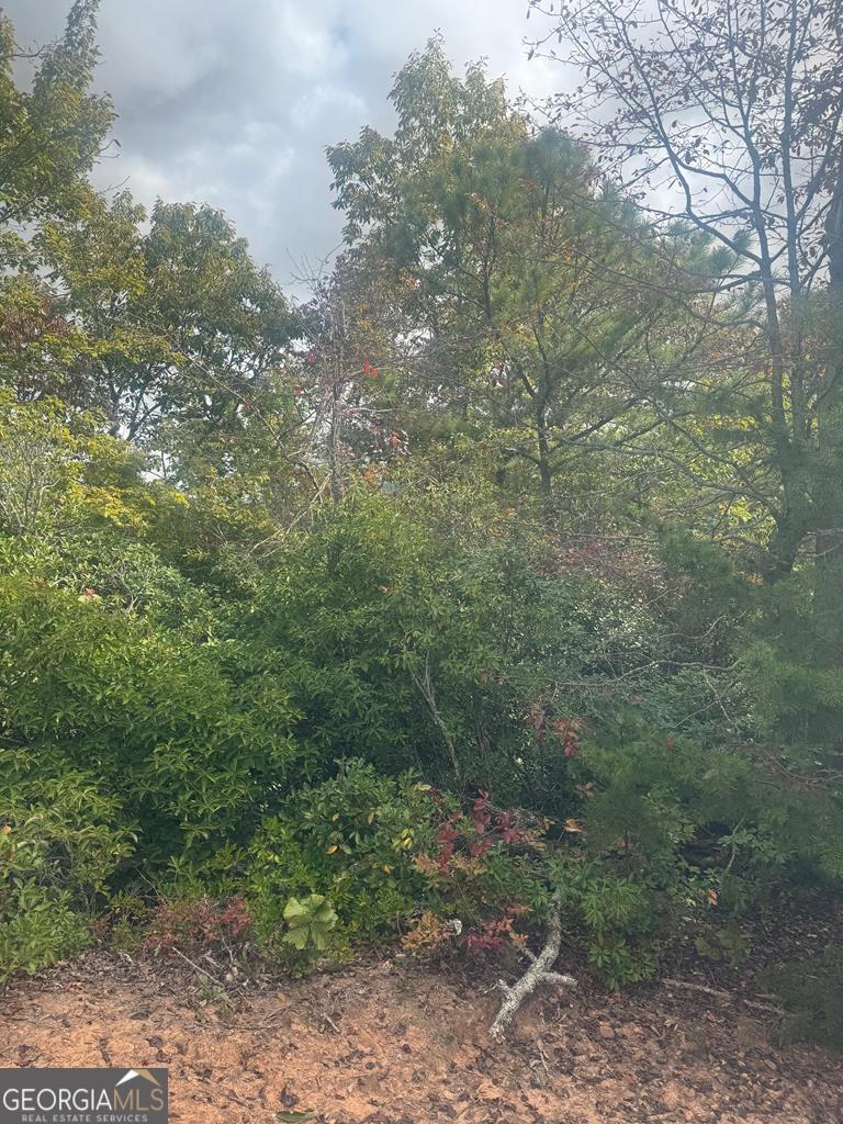 Lot 16 Brown Hawk Drive Property Photo 3