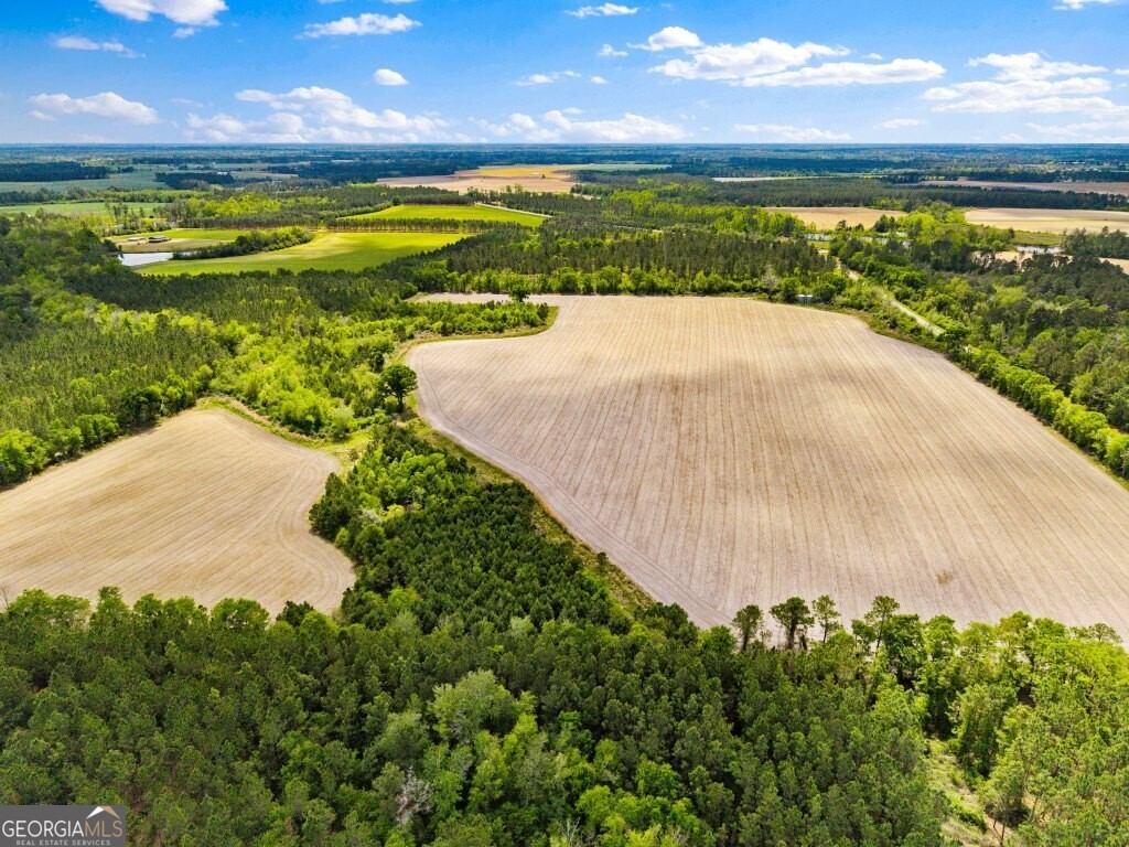 0 Minnie Gidden Road Property Photo 1